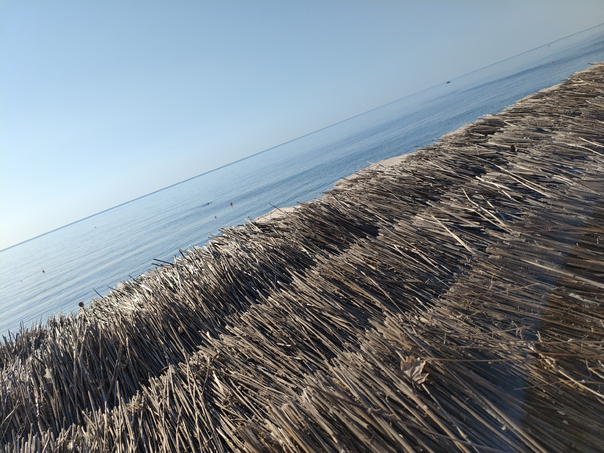 The image depicts a close-up view of a thatched roof, likely part of a beach umbrella or shelter, in Alushta, Ukraine. The dry, straw-like material of the roof fills the foreground and midground, angled diagonally from the bottom right to the top left of the frame. Beyond the thatched structure, a calm, blue sea stretches to the horizon under a clear, light blue sky. A sandy beach is visible between the thatched roof and the water. There are a few small red buoys and a distant boat on the water, suggesting this is a coastal area. The lighting indicates it is daytime, likely morning or afternoon due to the bright, even illumination. No people are visible in the image.