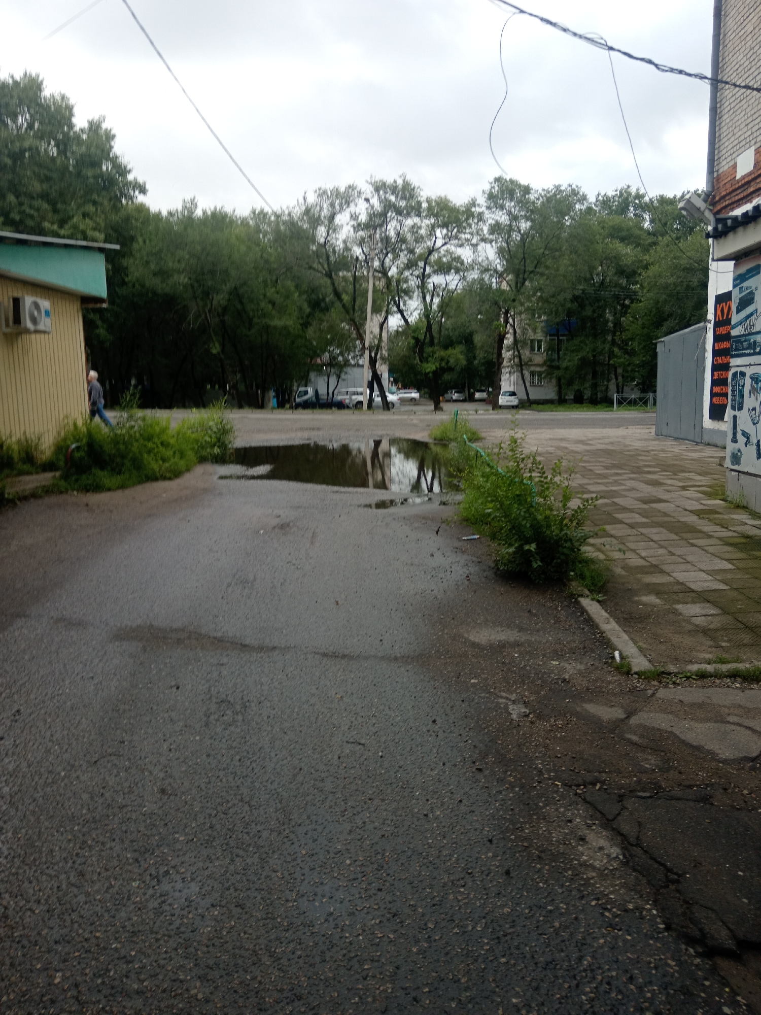 The image captures a street scene in Belogorsk, Russia, on an overcast day. In the foreground, a cracked asphalt road stretches into the distance, with a large puddle reflecting the grey sky and surrounding trees. To the left, a light yellow building with a green roof features an air conditioning unit mounted on its wall. A lone individual, wearing a blue jacket and jeans, walks away from the building towards the right side of the frame. Adjacent to the puddle, a patch of lush green bushes grows. Further back, a row of trees lines the street, with a few apartment buildings visible beyond them. To the right, a paved area with light-colored square tiles leads towards a building with a brick facade. A large advertisement board is affixed to the side of this building, displaying text and images. Several vehicles, including white vans and cars, are parked in the background. The overall environment suggests a typical urban or suburban setting experiencing inclement weather.