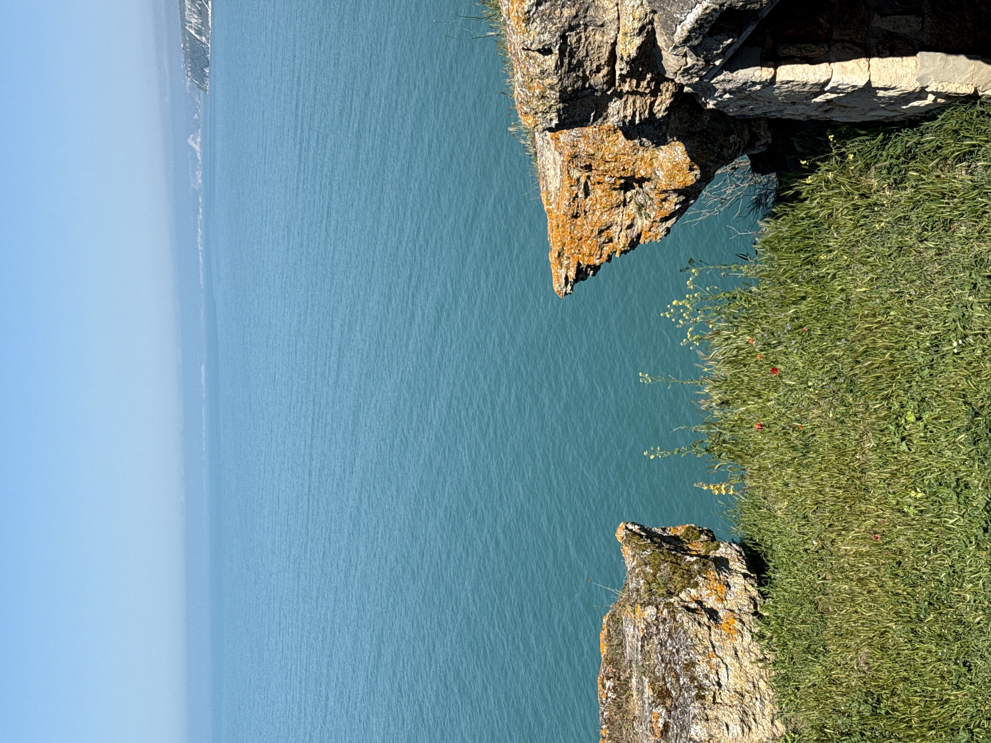 The image is a high-angle shot looking down from a cliff overlooking the Black Sea, likely captured from near Balgarevo, Bulgaria. The right side of the image shows a rocky cliff edge covered with green vegetation, including grass and small flowering plants. The rocks are textured and show patches of orange lichen. The left side of the image consists mostly of the calm, blue-green water of the Black Sea, stretching to the horizon under a clear, pale blue sky. The coastline is visible in the distance, obscured by atmospheric haze. No people are visible.