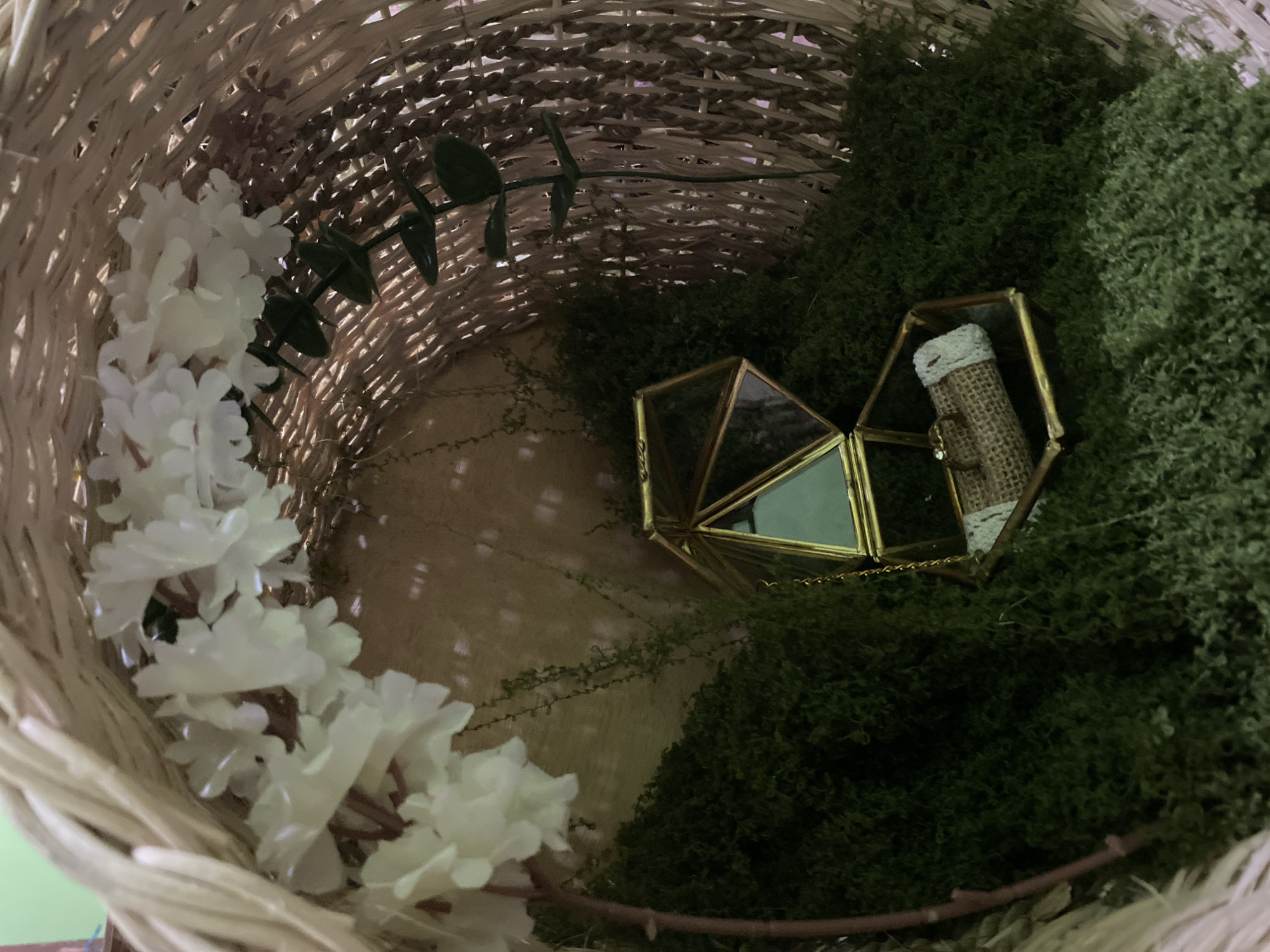 The image displays a decorative arrangement within a woven basket, evoking a natural, perhaps romantic, theme. The basket's interior is lined with a textured fabric, possibly burlap or rough linen, creating a rustic backdrop. Lush green moss covers a significant portion of the basket's floor, interspersed with delicate, thin green vines that trail across the fabric.
Prominently featured is a geometric glass and gold-toned terrarium, open and resting on the moss. Inside this terrarium, a small, fabric-wrapped cylinder, likely a ring holder, displays what appears to be a ring, a gold band with a small stone.
The upper portion of the basket is adorned with artificial white flowers, clustered together and seemingly cascading from the rim. A single sprig of artificial green leaves emerges from the right side of the basket, adding another touch of greenery.
The lighting in the scene is soft and warm, casting gentle shadows and highlighting the textures of the materials. The overall impression is one of a carefully curated display, possibly intended for a special occasion like a proposal or wedding.
There is no indication of Kuala Pembuang, Indonesia, within the image itself. The scene is self-contained within the basket and does not provide any context that would place it in a specific geographic location.