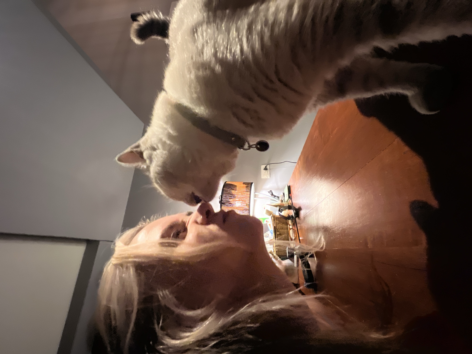 A woman and a cat are nose-to-nose across a wooden table. The woman, with blonde hair, is on the left side of the frame, her face tilted upwards and her eyes closed, with her nose touching the cat's. The cat, a light-colored tabby with a grey collar and a dark charm, is on the right side of the frame, its body angled towards the woman, with its nose touching hers. The background shows a lamp with an orange glow and a basket on the table. The scene appears to be indoors, in a dimly lit room.