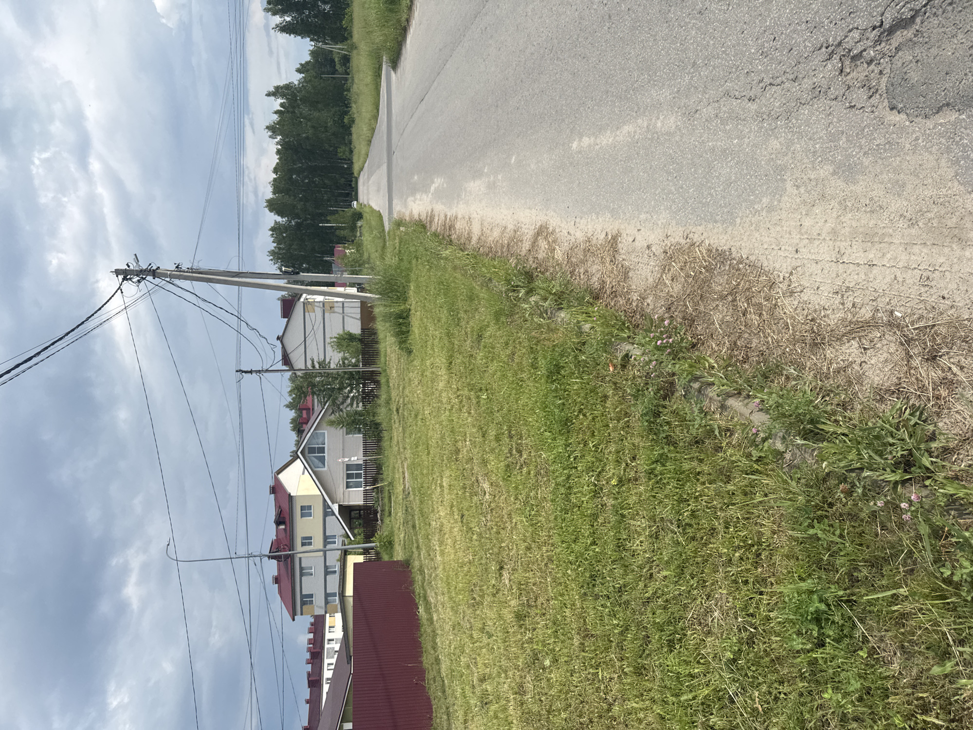 The image shows a rural road in Krasnye Baki, Russia, with houses and trees lining the sides. The road is paved and appears to be a two-lane street. On the left side of the road, there are several houses with red roofs, surrounded by green grass and a red metal fence. A power pole with multiple wires is visible on the left side of the road, supporting overhead electrical lines. On the right side of the road, there is a stretch of trees, beyond which the sky is visible. The sky is partly cloudy with a grey, overcast appearance. The overall scene depicts a quiet, suburban or semi-rural setting.