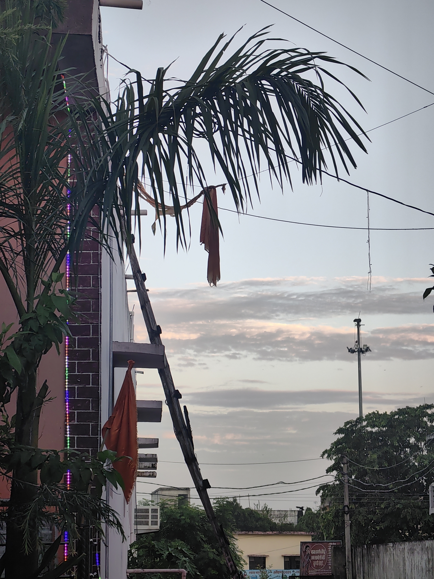 A wooden ladder leans against a building in Sonauli, India, supporting two orange cloths. A palm frond arches over the scene, with multicolored LED lights strung vertically along the side of the building. Power lines crisscross the sky, and a light pole with visible fixtures stands in the background. The sky is overcast with streaks of pink and gray clouds. Trees and other buildings are visible in the distance. The image appears to have been taken at dusk or dawn.