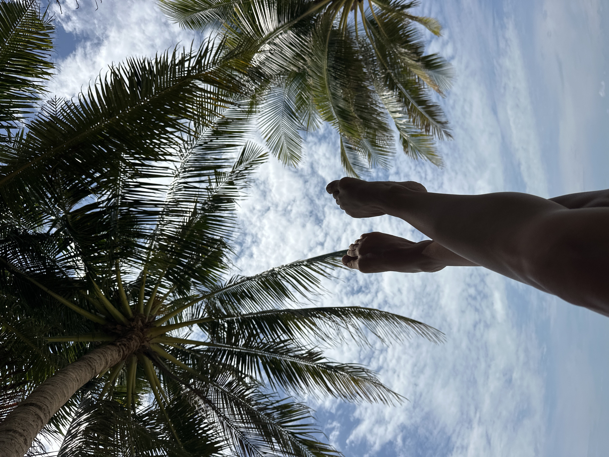 This is a low-angle, vertical shot of a person's legs and feet extended upwards against a bright blue sky with scattered white clouds. Two palm trees, silhouetted by the sun, frame the scene from above, with their fronds reaching down. The person's bare feet are crossed at the ankles, and their legs are bent. The image conveys a sense of relaxation and vacation, likely taken in a tropical location such as Ko Samui District, Thailand, known for its beaches and palm trees.