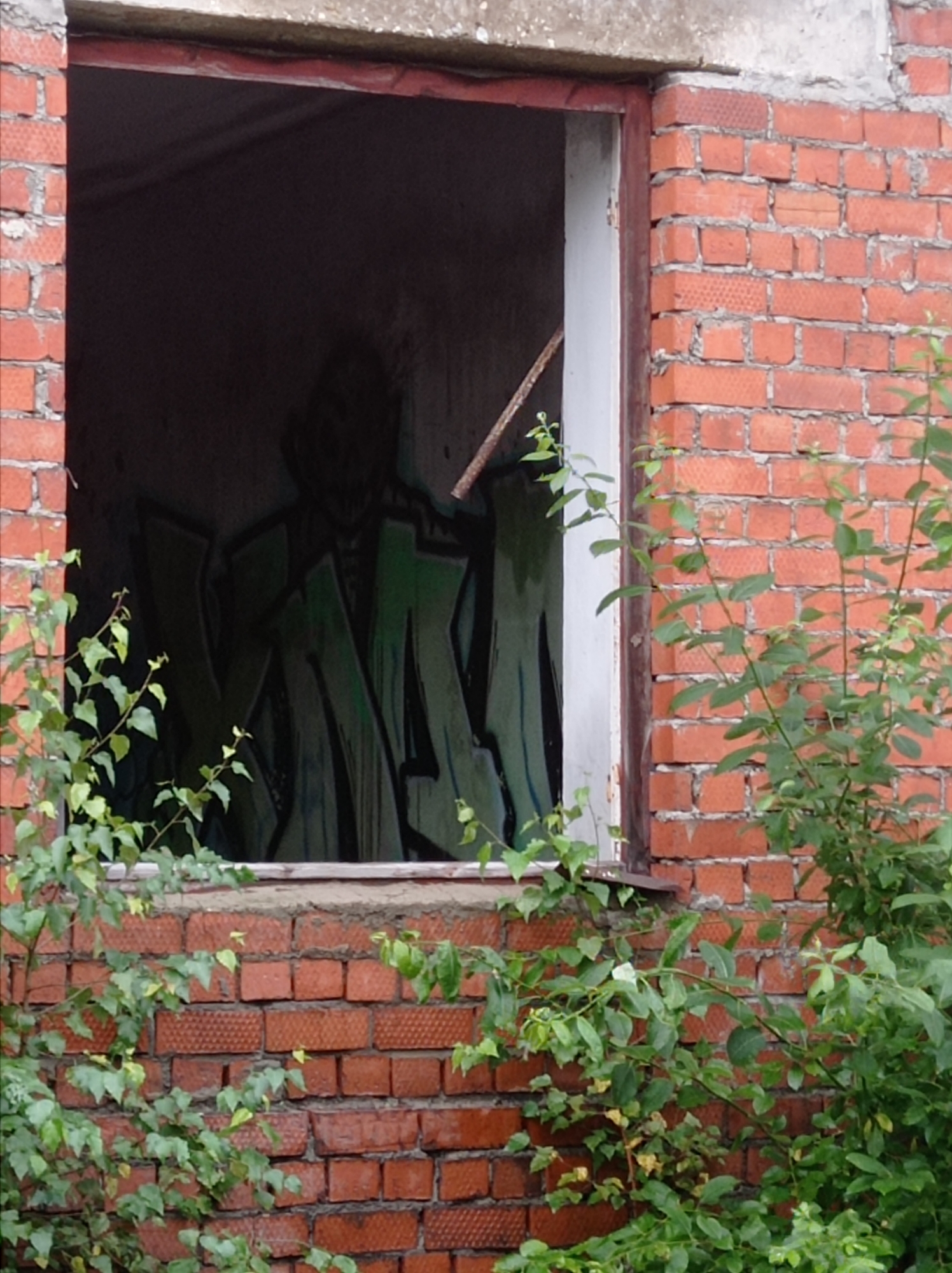 An external, eye-level, medium shot captures a brick wall with a large, open window frame in Degtyarsk, Russia. The window opening reveals a dark interior with green graffiti on the back wall, featuring large, blocky letters. Outside the window, on the left side, a small green plant with thin branches and leaves grows, partially obscuring the window frame. On the right side and in the foreground, a larger, bushier green plant with denser foliage also partially covers the brick wall and the lower part of the window frame. The brick wall itself is constructed of red bricks, some of which appear weathered or worn. The concrete lintel above the window is visible at the top of the image, and a rusty metal bar protrudes from the left side of the window opening.