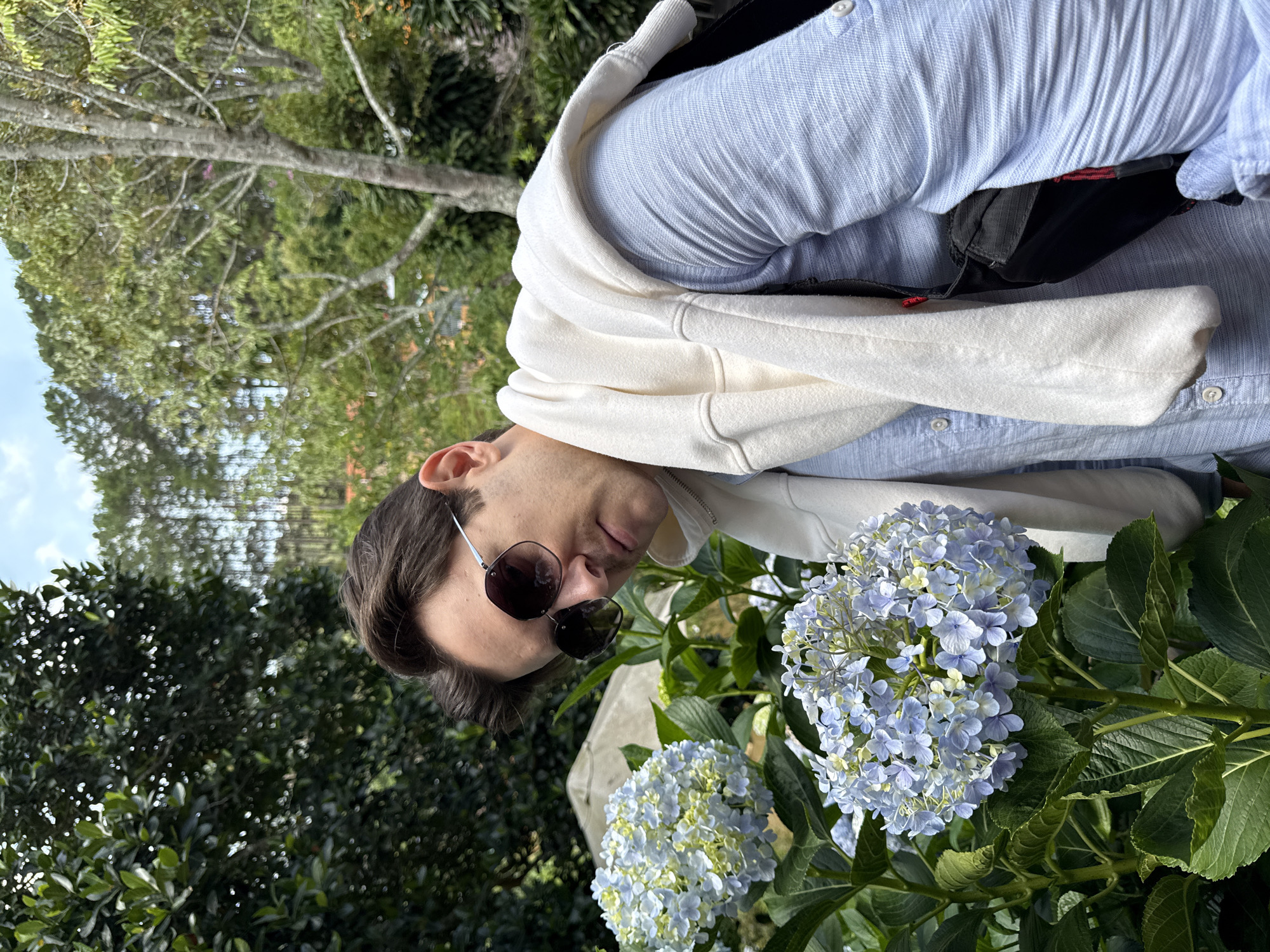 A man wearing sunglasses, a light blue button-down shirt, and a white hoodie is leaning over a flowering hydrangea bush. The background features lush green foliage and trees, suggesting a garden or park setting. The photo was taken outdoors. The man is wearing dark sunglasses and appears to be looking at the hydrangeas. Hydrangeas feature bluish white flowers with shades of blue in the petals. Given the presence of hydrangeas and the verdant background, it is plausible this picture was taken in Da Lat, Vietnam, a city known for its flowers.