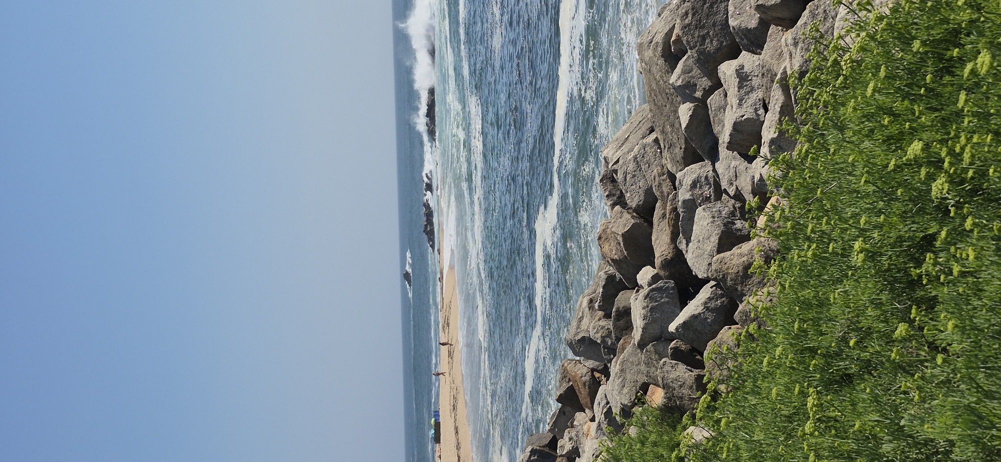 This is a vertically oriented, eye-level, medium shot of a rocky coastline with the ocean and a sandy beach. The sky takes up the left third of the image and is a clear, pale blue, suggesting a sunny day. The middle section of the image features the ocean with white waves crashing against a series of dark, rocky outcrops. The water is a vibrant turquoise and blue. Beyond the rocks, a sandy beach is visible, with several people walking or standing on it, and some blue and green beach umbrellas. The right third of the image is dominated by a dense green bush with small, light green buds or flowers, growing in front of a wall of large, grey, irregular rocks. These rocks appear to form a man-made structure, possibly a breakwater or seawall. The overall impression is of a scenic coastal landscape on a clear, warm day. The specific location is Vila do Conde, Portugal.