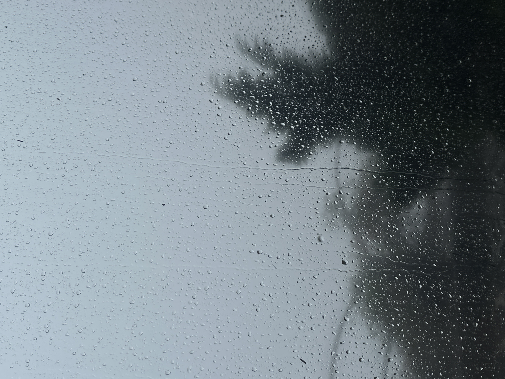 Raindrops cover a window. A dark, out-of-focus tree is reflected on the right. The background appears grey. The location of Binh Lu, Vietnam cannot be definitively determined from this image.