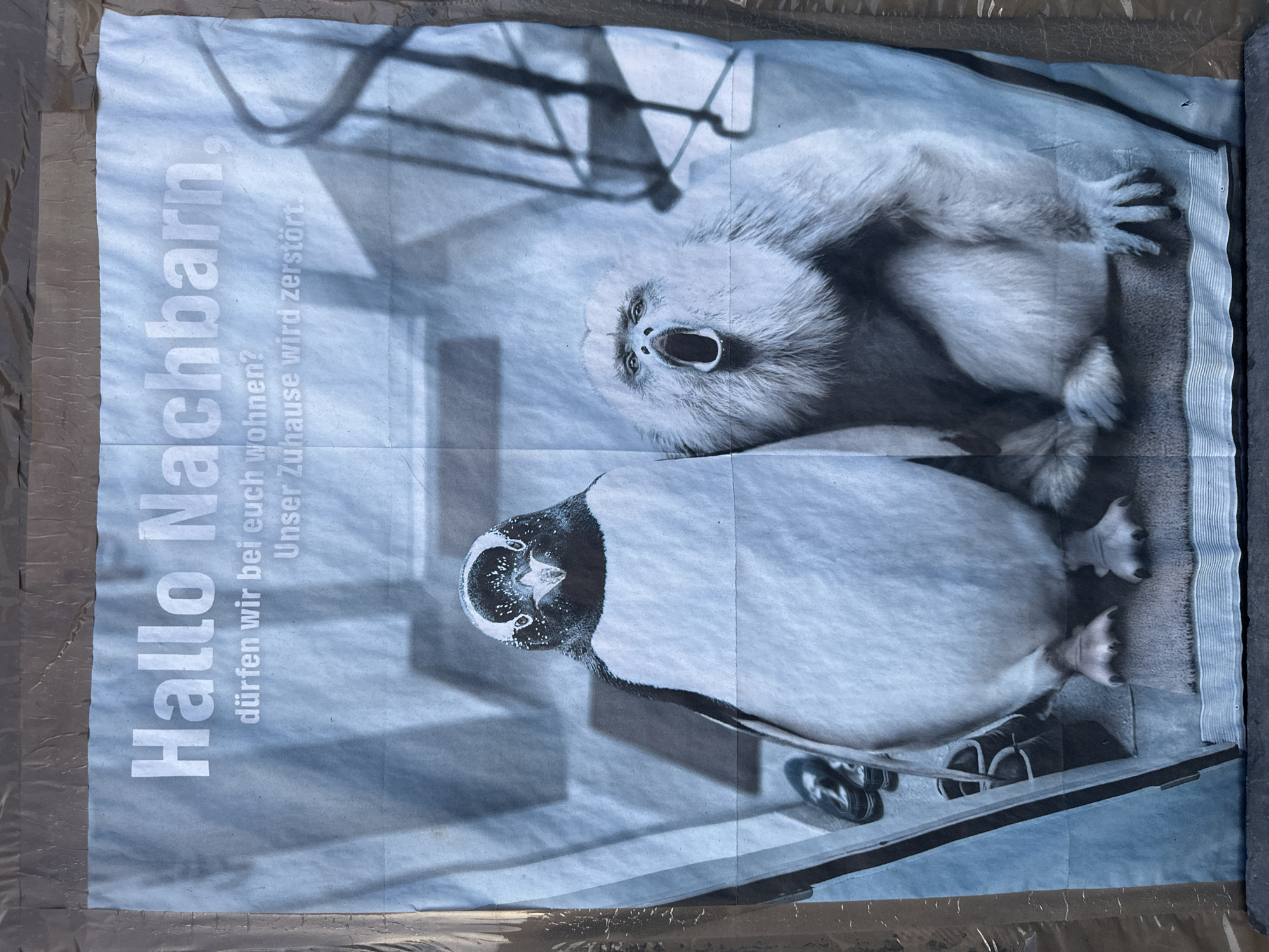 A vertical, monochromatic poster or large print, displaying shades of blue-grey, is shown affixed to a surface, likely outdoors, in Embrach, Switzerland. The poster itself appears creased and somewhat rumpled, with its edges secured by tape-like material.
The central subjects of the poster are two animals: a large penguin and a light-furred monkey, possibly a gibbon or howler monkey. Both are depicted in an indoor-like setting, with shadows reminiscent of window frames or structural elements in the background. The entire visual content, including the animals and text, is rotated 90 degrees clockwise relative to the poster's vertical hanging orientation.
The monkey, positioned towards the top right, has light fur and is captured with its mouth wide open, looking upwards, as if vocalizing. Its hands and feet are visible. Below and to the left of the monkey is a penguin, facing the viewer directly from a slightly elevated, frontal perspective. Near the penguin's feet, a pair of human-style shoes is visible on what appears to be a floor, implying a domestic interior.
Overlaid on the left side of the poster is prominent white text in German, conveying a message about habitat loss. It reads:
"Hallo Nachbarn," (Hello Neighbors,)
"dürfen wir bei euch wohnen?" (may we live with you?)
"Unser Zuhause wird zerstört." (Our home is being destroyed.)
The poster serves as an environmental or wildlife conservation campaign, using the imagery of displaced animals to highlight habitat destruction.