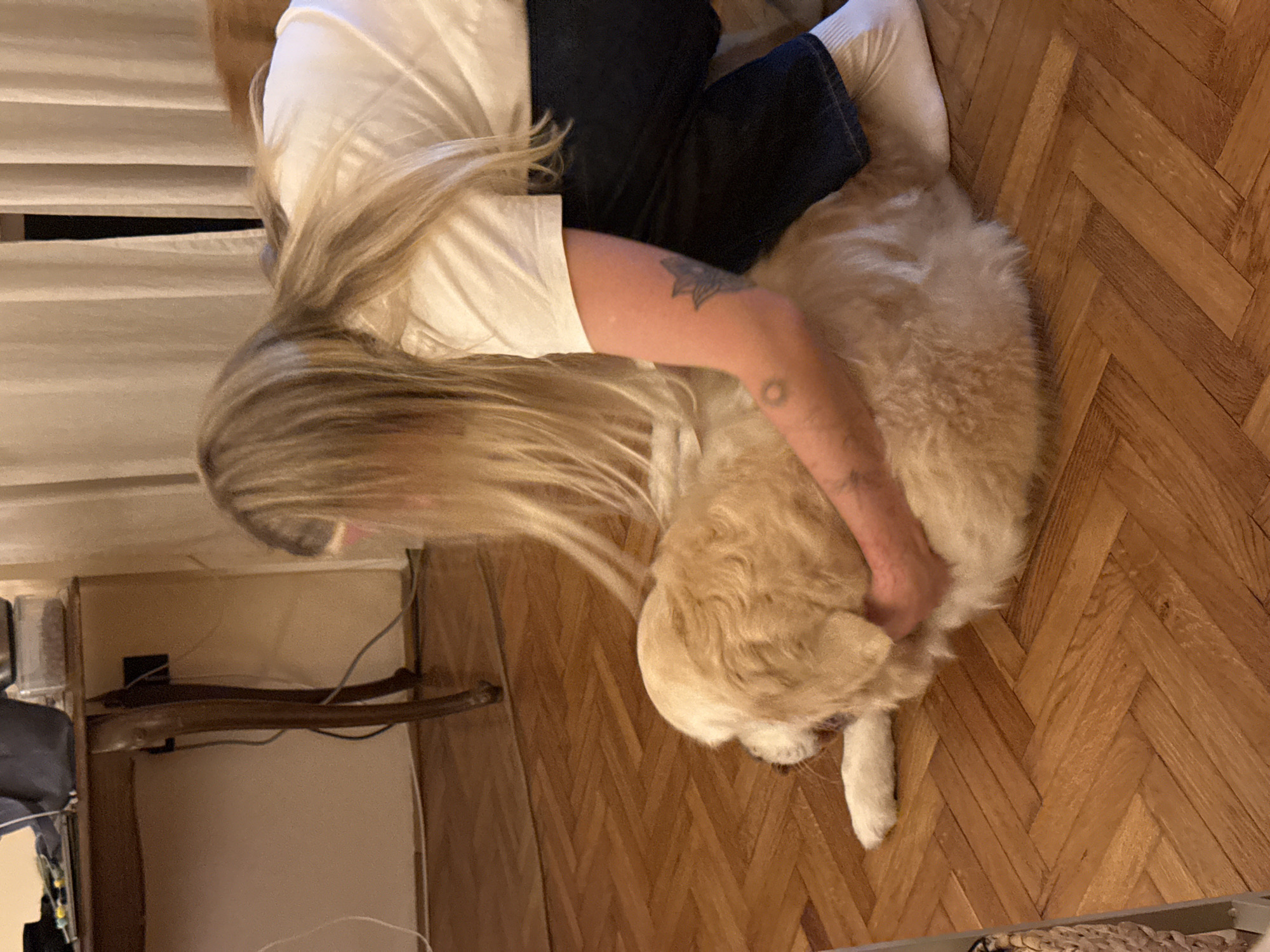 An indoor scene captures a person affectionately interacting with a dog on a wooden herringbone floor. The image is oriented sideways, with the person and dog appearing on their right sides.
The main subject is a person, likely a woman, with long, light blonde hair that falls forward as she leans over. She is wearing a white short-sleeved t-shirt and dark pants. Tattoos are visible on her left arm: one larger, star-like design on her upper arm, and a smaller, circular design on her forearm. She is kneeling on the floor, her left arm gently around the dog. A white sock is visible on her left foot.
The other subject is a medium to large-sized dog, possibly a Golden Retriever or similar breed, with fluffy, light golden-colored fur. The dog is lying on its side, and its head is mostly obscured by the person's embrace, but its fluffy body and one white paw are clearly visible.
The activity shows a tender moment where the person is petting or hugging the dog, suggesting a strong bond and affection. The dog appears relaxed and comfortable.
The setting is a room with warm lighting, suggesting it might be evening or an interior space with limited natural light. The floor is made of polished light brown wood, laid in a distinct herringbone pattern. In the background, there are white blinds or shutters, and to the left, a piece of wooden furniture or shelving is partially visible with some wires behind it. No text is visible in the image. The scene is set in Belgrade, Serbia.
