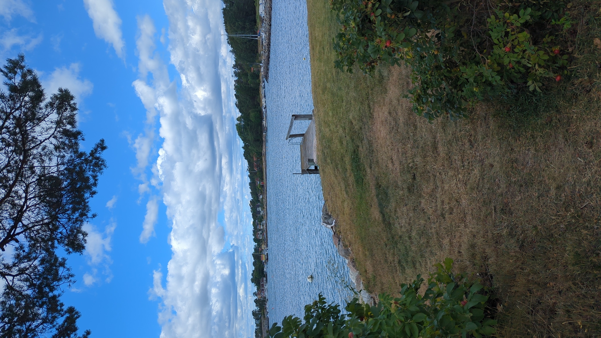 The image depicts a scenic view of the waterfront in Larkollen, Norway. A wooden jetty extends into the calm blue water, with several boats docked along the distant shoreline. The coast is lined with trees and houses, under a sky filled with fluffy white clouds against a bright blue backdrop. In the foreground, a grassy lawn slopes down towards the water, bordered by lush green bushes. The overall scene is tranquil and picturesque, capturing the essence of a serene coastal environment.