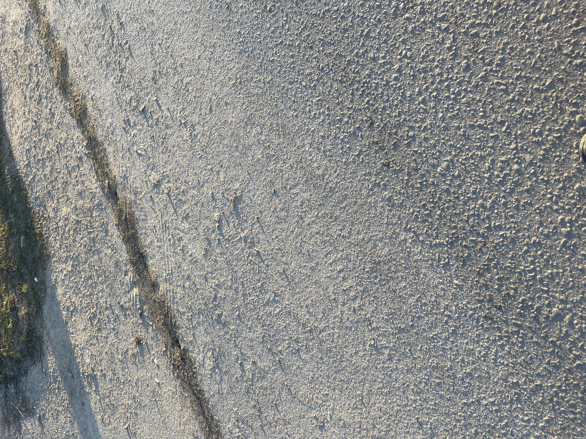 The image depicts a close-up view of a dirt road or path. The surface is rough and textured, with small irregularities and debris scattered throughout. Tire tracks are visible on the left side of the image, running diagonally across the frame. There is some vegetation and shadows in the far left of the image. The location is possibly in Podolsk, Russia, based on external information not provided in the image itself. No people or distinct objects are directly visible.