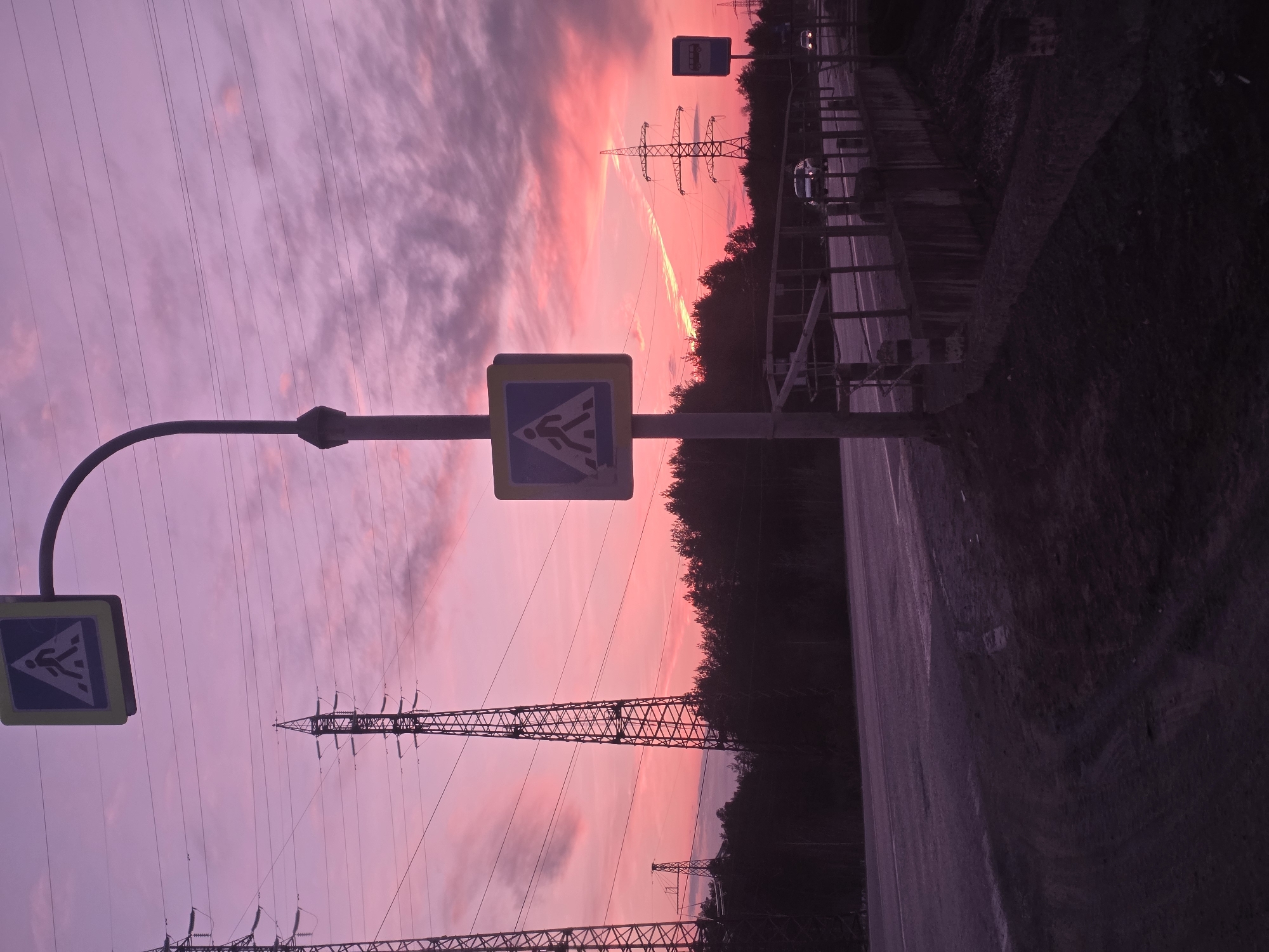 Here is a forensic description of the image:
**Scene:** An outdoor scene during dusk or dawn, dominated by a pink and purple sky with visible clouds and power lines stretching across the horizon. The image is vertically oriented.
**Objects:**
* Two pedestrian crossing signs are visible. One sign is mounted on a curved pole, and another is attached to a straight pole.
* Several power line towers are present in the background.
* A road is visible on the right side of the frame, with a metal barrier.
* Trees and vegetation line the edge of the road.
* Vehicles are seen on the road in the distance.
* A road sign is also visible in the distance.
**Environment:**
* The sky is the most prominent feature, with a gradient of pink and purple hues.
* The lighting suggests either sunrise or sunset.
**Location:** Noviy, Russia.