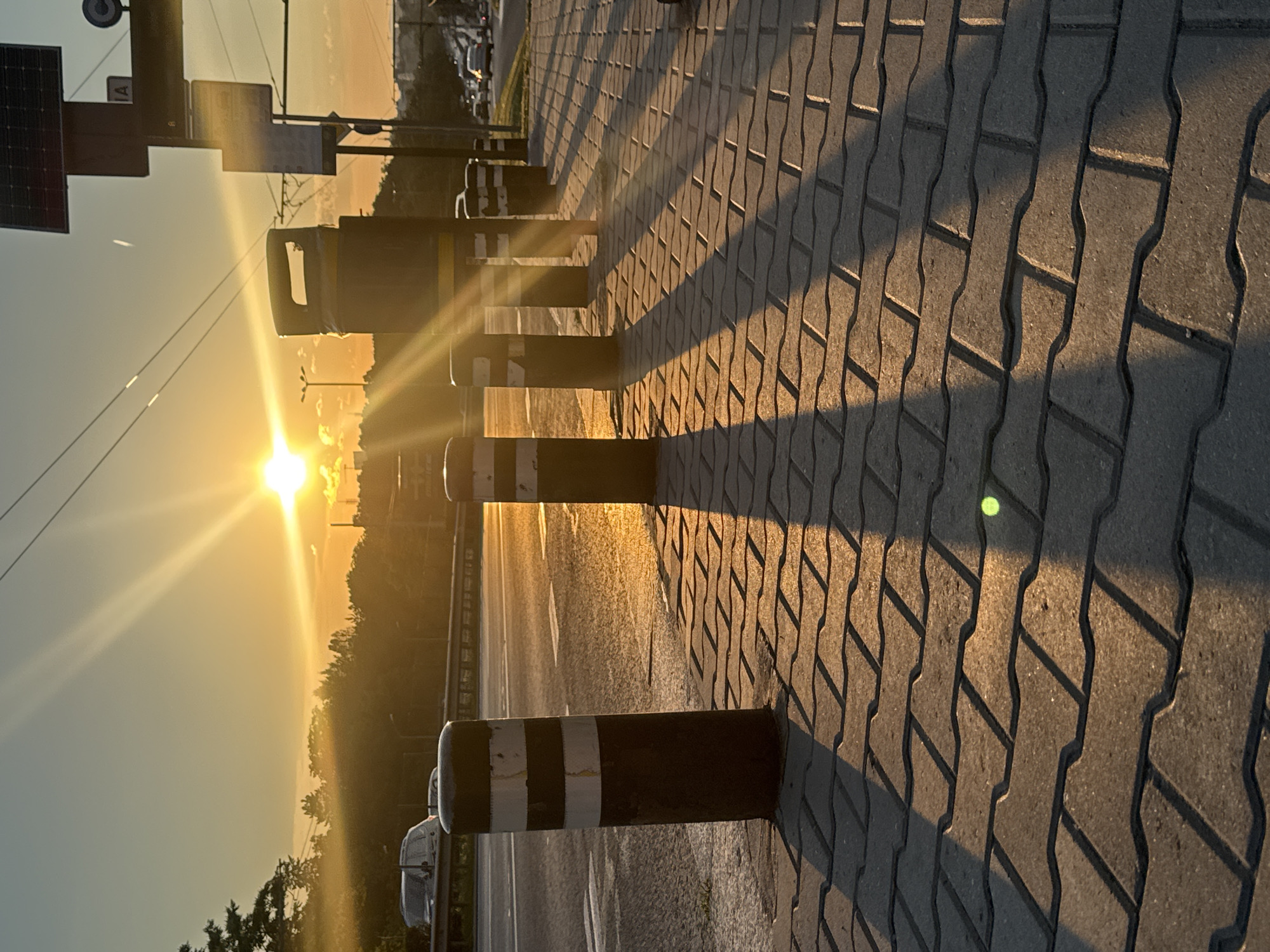The image depicts a street scene at sunset in Sofia, Bulgaria. The sun is low in the sky, casting long shadows across a paved sidewalk lined with bollards. The bollards are dark with white stripes. A street with cars is visible in the background, as are trees and buildings. A traffic light and a trash can are also present. The overall impression is a typical urban environment during golden hour.