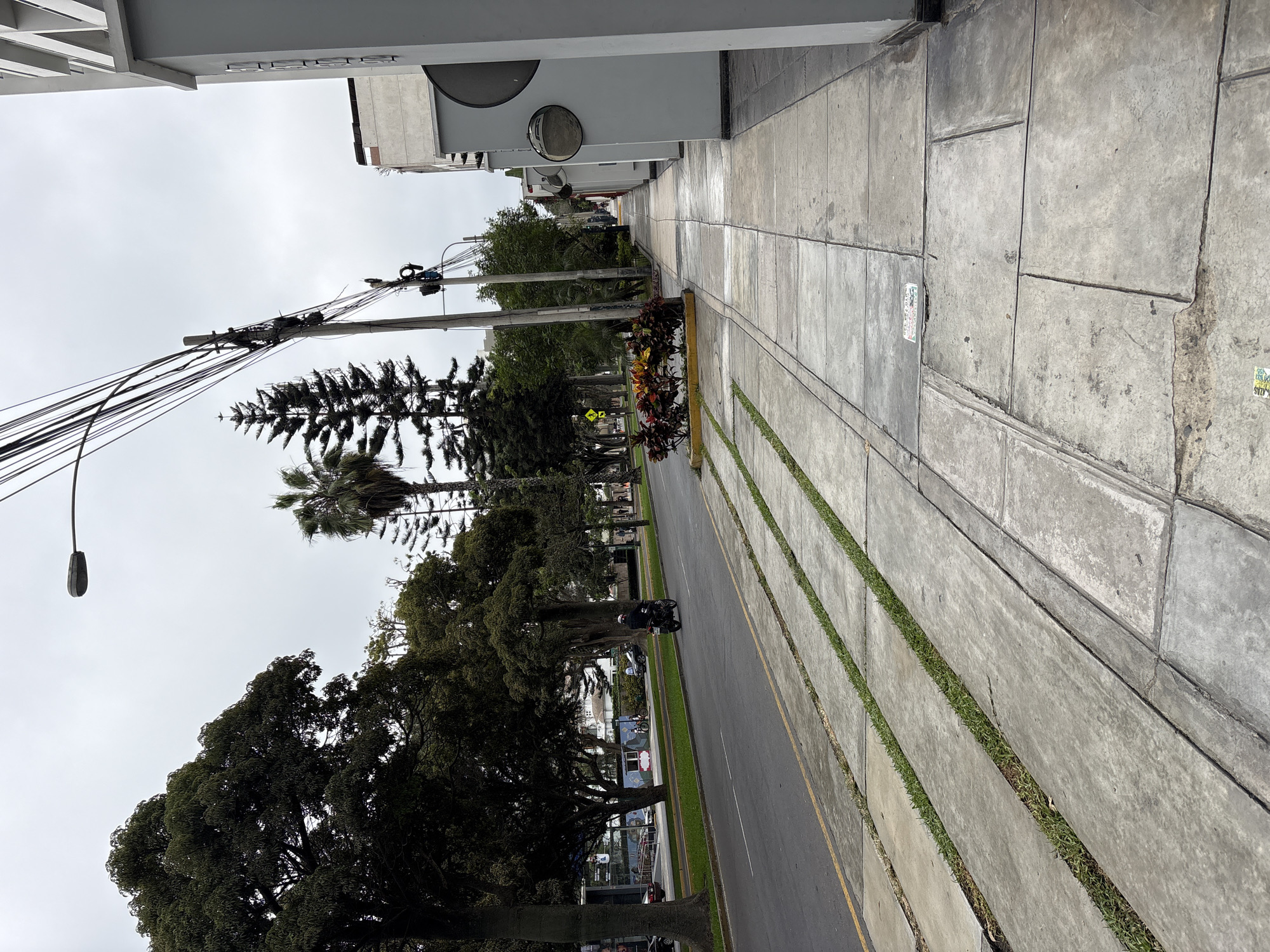 The image depicts a street scene in Magdalena del Mar, Peru. The view is oriented along a street with trees lining both sides, under an overcast sky. A motorcycle is traveling down the street. Sidewalks with grass strips run along the sides of the street. Utility poles and wires are visible above the trees. Buildings are present on both sides of the street, including one with a circular architectural detail. The sidewalks are constructed of grey concrete slabs.