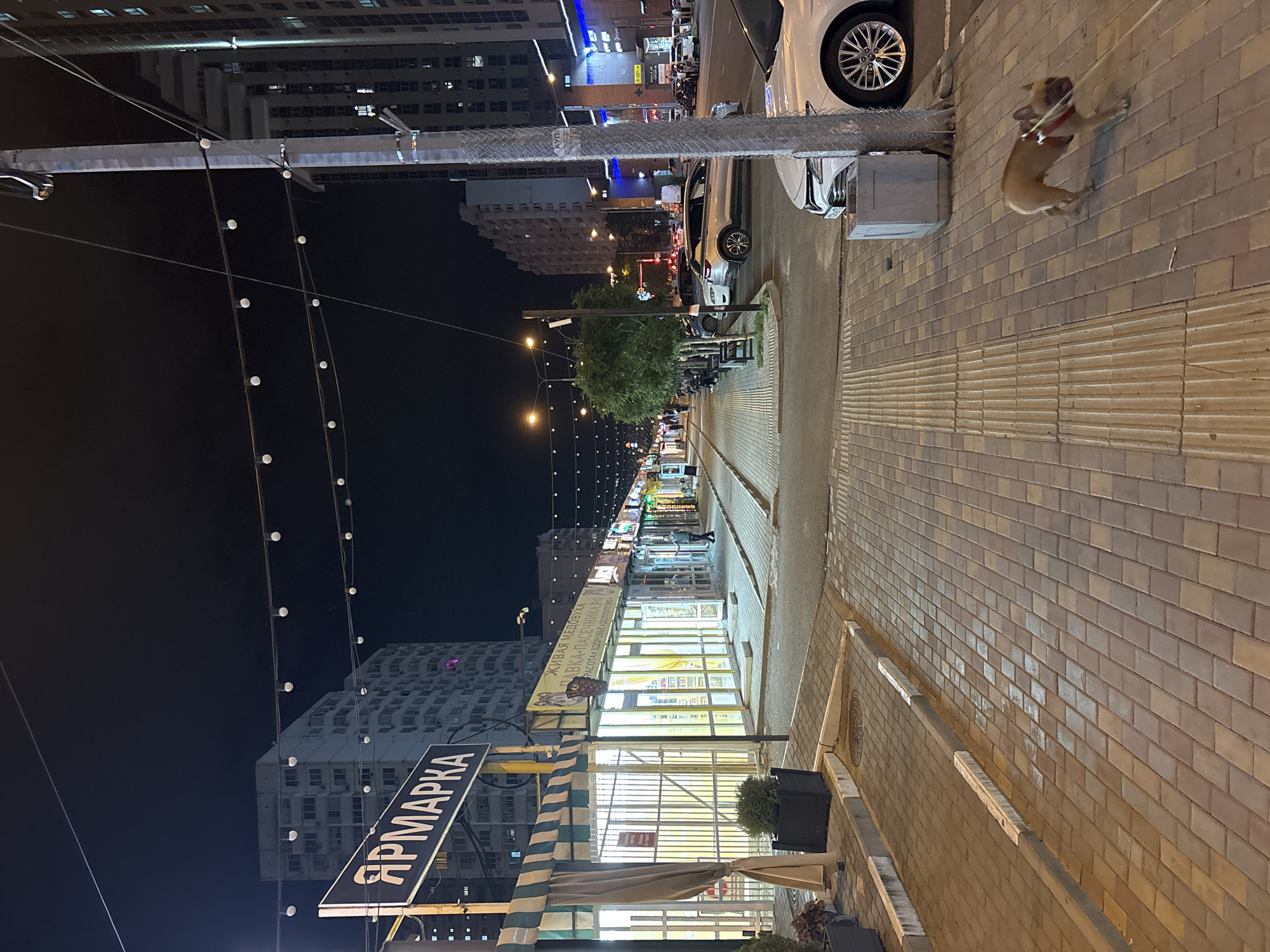 The image depicts a nighttime street scene in Krasnodar, Russia, specifically on "Yarmarka" street, indicated by a prominent sign. The street is paved with brick pavers, and a sidewalk runs alongside a row of market stalls. The stalls are brightly lit with yellow lights, and some have awnings. Several apartment buildings are visible in the background, illuminated by interior lights and streetlights. A few cars are parked along the street, and a white sedan is prominent in the foreground. A small French bulldog on a leash is walking on the sidewalk, facing away from the camera. String lights are strung across the street, adding to the nighttime ambiance. The scene appears to be a commercial area with a mix of residential and retail spaces.