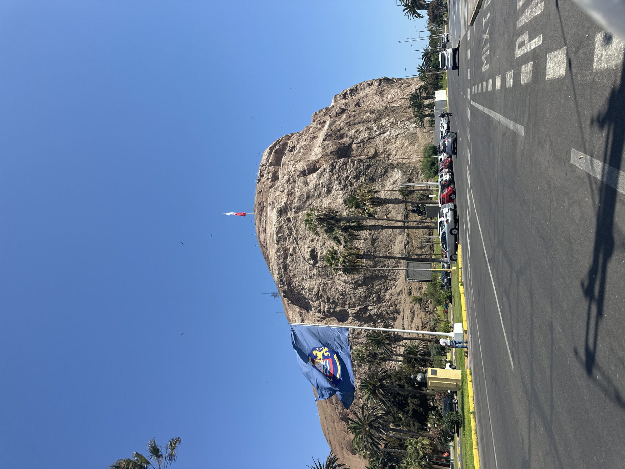 The image depicts the Morro de Arica, a steep hill in Arica, Chile, against a clear blue sky. A Chilean flag flies atop the hill. In the foreground, a blue flag bearing a coat of arms flutters in the wind. A paved road runs along the base of the hill, lined with parked cars and palm trees. A yellow curb separates the road from the landscaping. Several birds are visible in the sky.