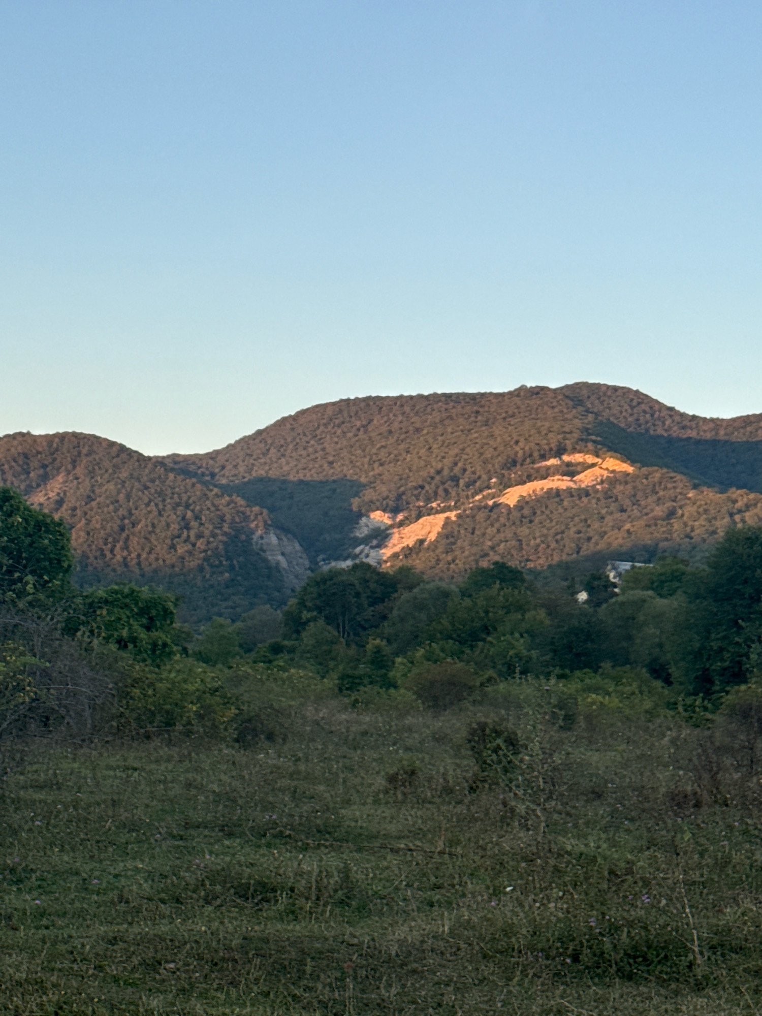 The image depicts a natural landscape under a clear, pale blue sky. In the foreground, a grassy field with some scattered vegetation and small purple flowers stretches towards a dense line of green trees. Beyond the trees, rolling hills covered in dark green foliage rise up. The midground is dominated by these hills, which are partially illuminated by the sun, casting shadows. A significant portion of one of the hills reveals a lighter-colored, rocky scar, likely a quarry or landslide, brightly lit by the sun. Further in the distance, additional, less distinct hills can be seen. The scene appears to be an outdoor environment in a rural or mountainous area, possibly near Tenginka, Russia, given the context. No people or man-made structures, other than the implied quarry, are clearly visible. The lighting suggests it is either early morning or late afternoon.