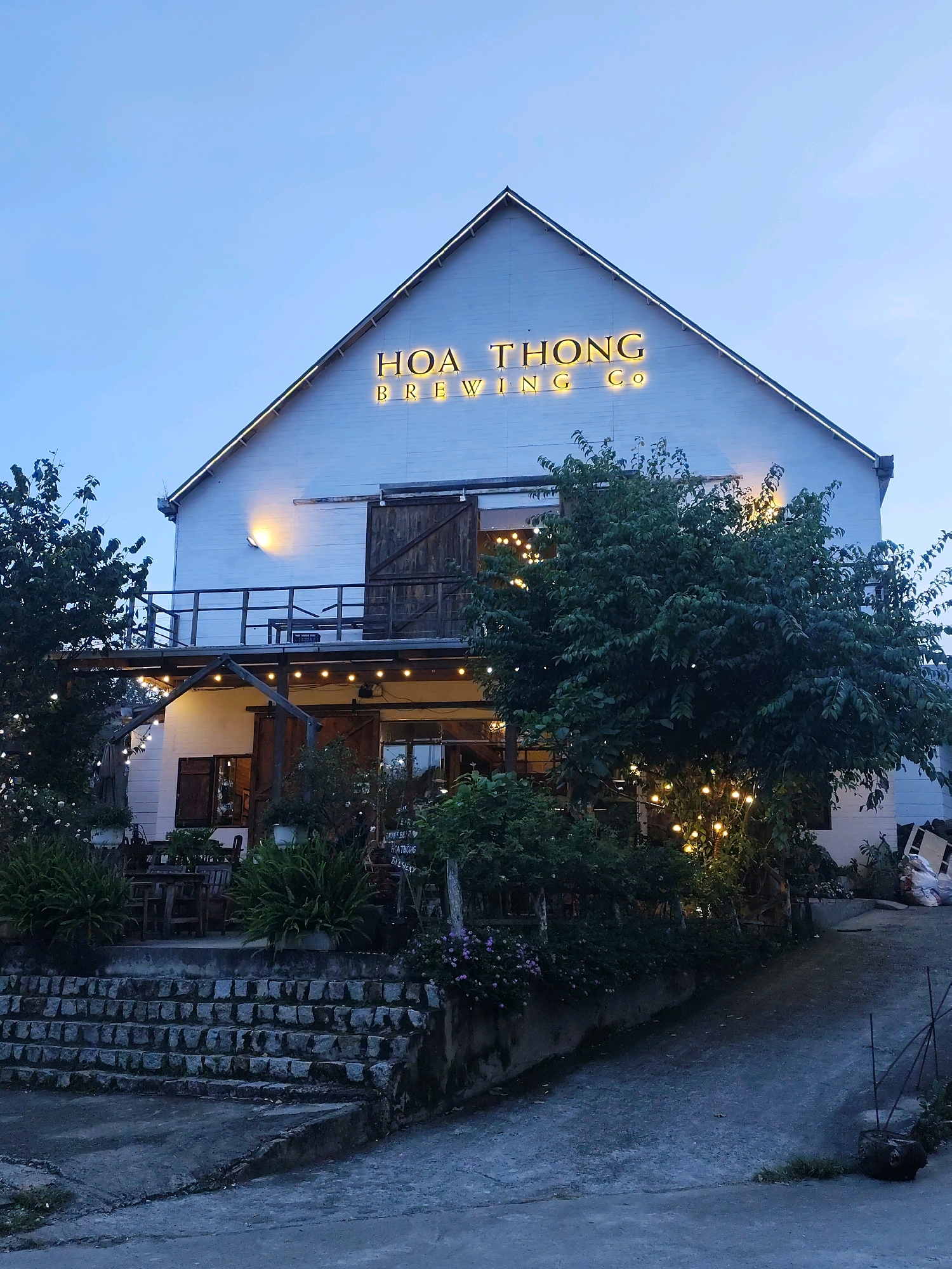 The image shows the exterior of a white, barn-like building with a prominent sign that reads "HOA THONG BREWING CO" in illuminated letters. The building has a large, sliding wooden door on the upper level and a covered patio area on the lower level, adorned with string lights. There are several trees and lush vegetation surrounding the building, with more string lights woven through the branches of a large tree in the foreground. Stone steps lead up to the patio. The sky is a deep blue, indicating it is either early morning or late evening. The scene appears to be a brewery or restaurant located in Da Lat, Vietnam, given the name and architectural style. There are no people visible in the image.