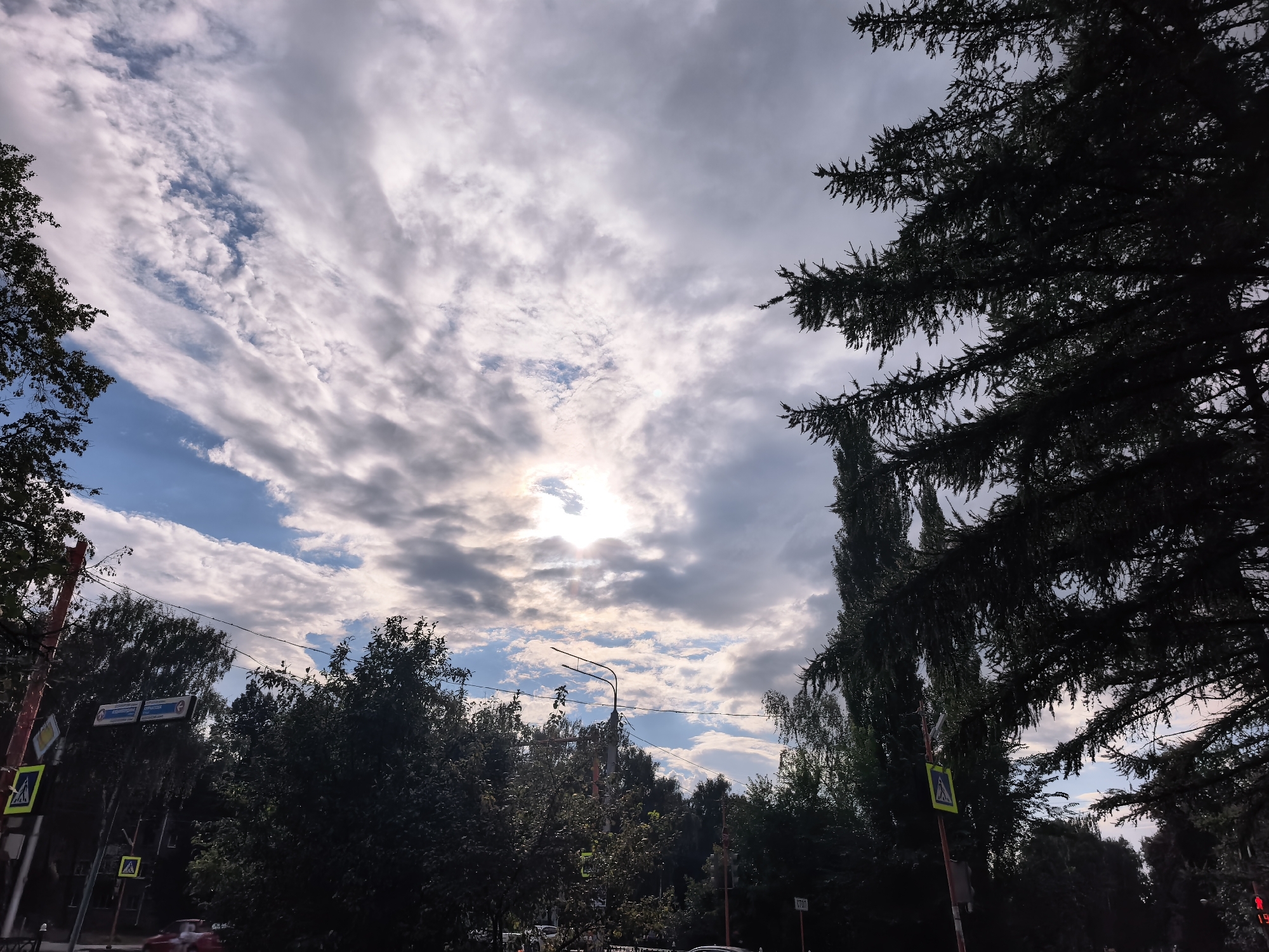 The image shows a street scene in the city of Sterlitamak, Russia. The sky is filled with dramatic, broken clouds, with the sun visible in the upper center of the frame, partially obscured by the clouds. The foreground is dominated by dark, silhouetted trees, with pine branches prominently in the upper right and upper left. Below the trees, a street is visible with a few cars and pedestrian crossings indicated by yellow diamond-shaped signs. A street lamp is also visible in the mid-ground. The overall impression is of an overcast day in an urban environment with significant tree cover.