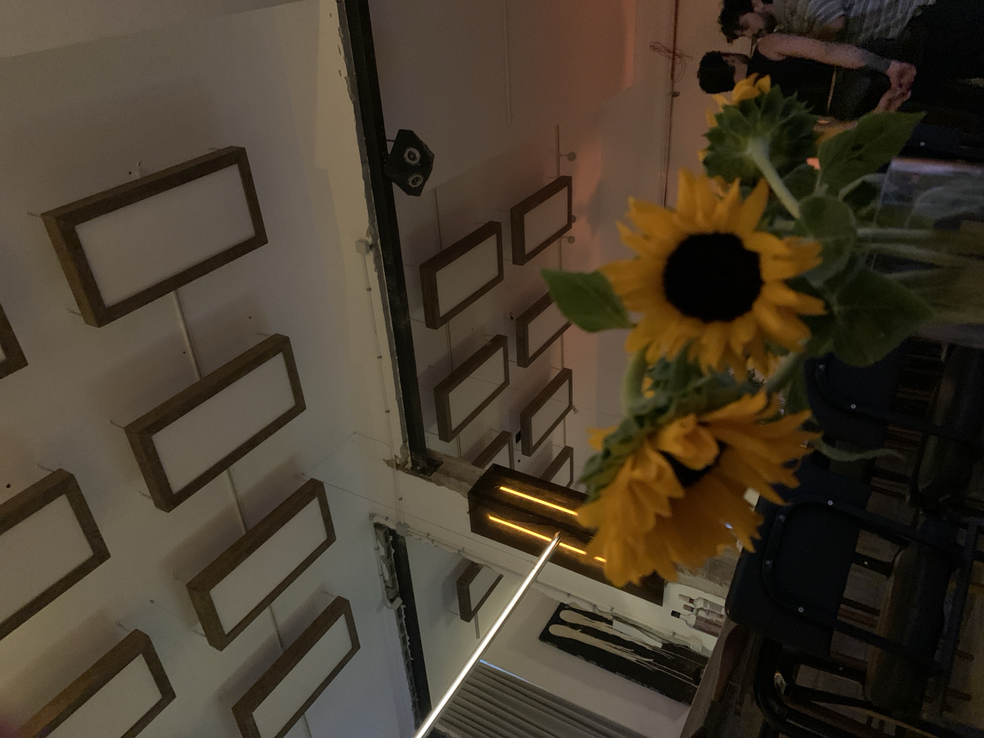 A slightly tilted overhead shot displays a sunflower arrangement, a series of rectangular wall fixtures, and portions of a cafe interior. The wall fixtures, evenly spaced, appear to be illuminated lightboxes. Part of the ceiling features track lighting and what appears to be a security camera. The sunflowers are prominent in the foreground. The blurred background includes glimpses of people, furniture, and decor typical of a Tel Aviv cafe. The image doesn't provide enough context to pinpoint a precise location in the city.