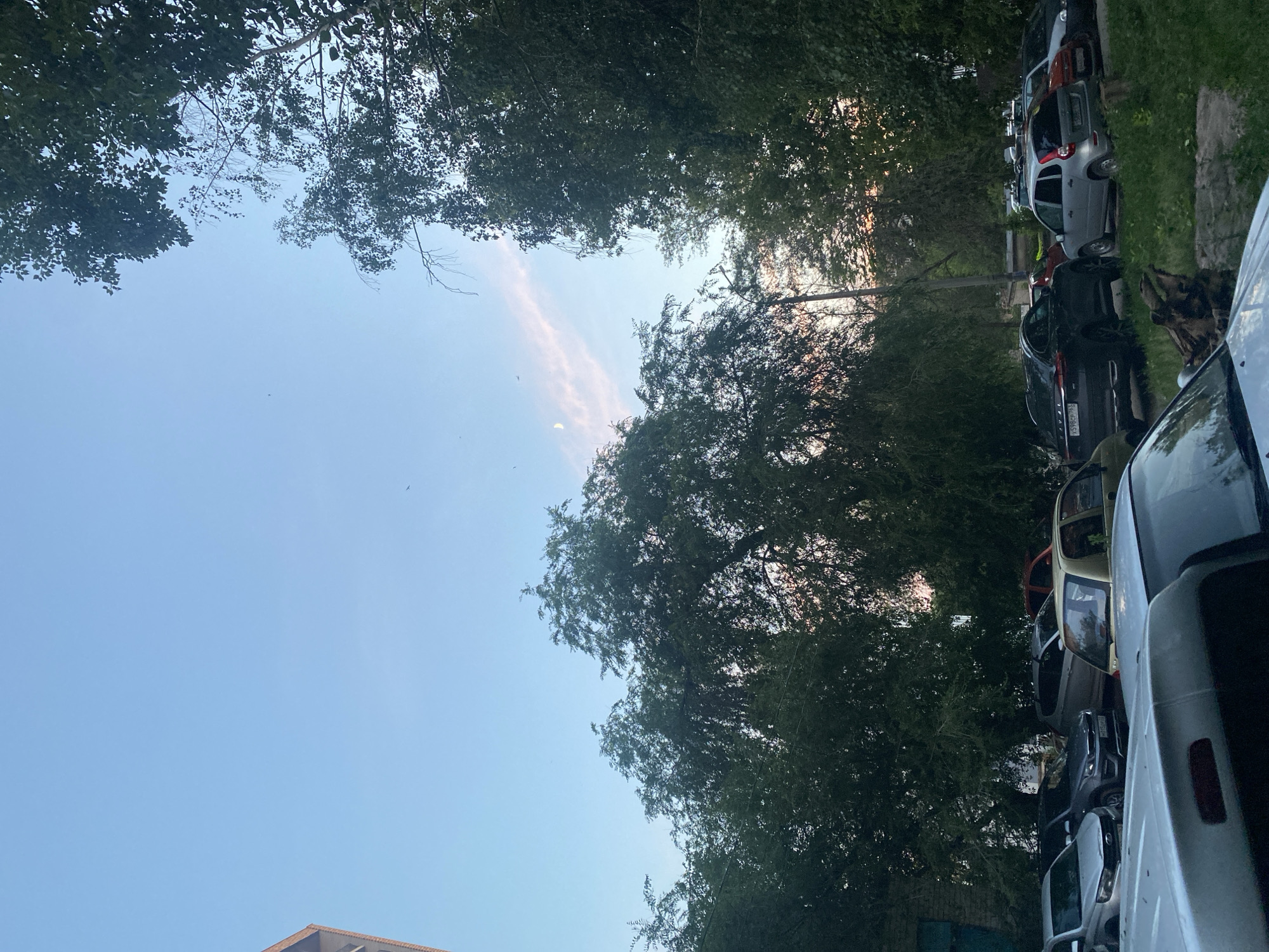 The image depicts an outdoor scene with a parking lot occupied by several cars under a clear sky with a few wispy clouds. The parking lot is surrounded by dense green trees, suggesting a residential area, possibly a courtyard or a street in Samara, Russia. The lighting indicates it is either early morning or late evening, as the sun is low and casting soft light, with a hint of sunset colors in the distance. In the foreground, the hoods of several cars are visible, suggesting the viewer is looking from a slightly elevated position. Among the parked vehicles, one can identify a silver LADA Granta, a dark grey LADA Vesta, a silver hatchback, and a yellow hatchback, along with other vehicles partially obscured by trees and other cars. The presence of a building on the left side suggests the parking lot is adjacent to a residential structure. The overall impression is a quiet, everyday scene in an urban setting.