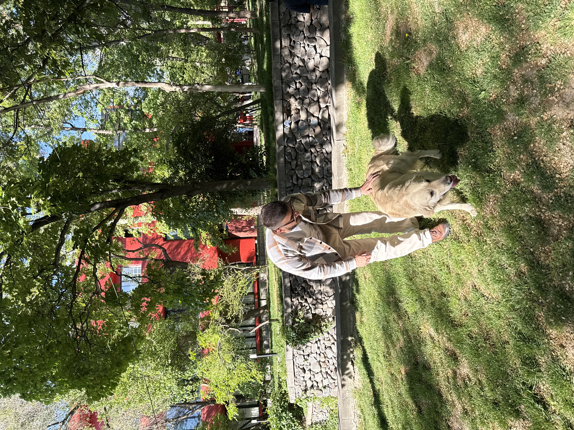 A man is sitting on a low stone barrier in a park in Yerevan, Armenia, petting a golden retriever lying on its back on the grass. The man is wearing a light-colored flannel shirt, beige pants, and brown shoes. The dog is on its back with its tongue sticking out. In the background, there is a red building with windows, trees, and green grass. The scene is bathed in sunlight, casting shadows on the grass. The stone barrier is filled with various sized rocks.