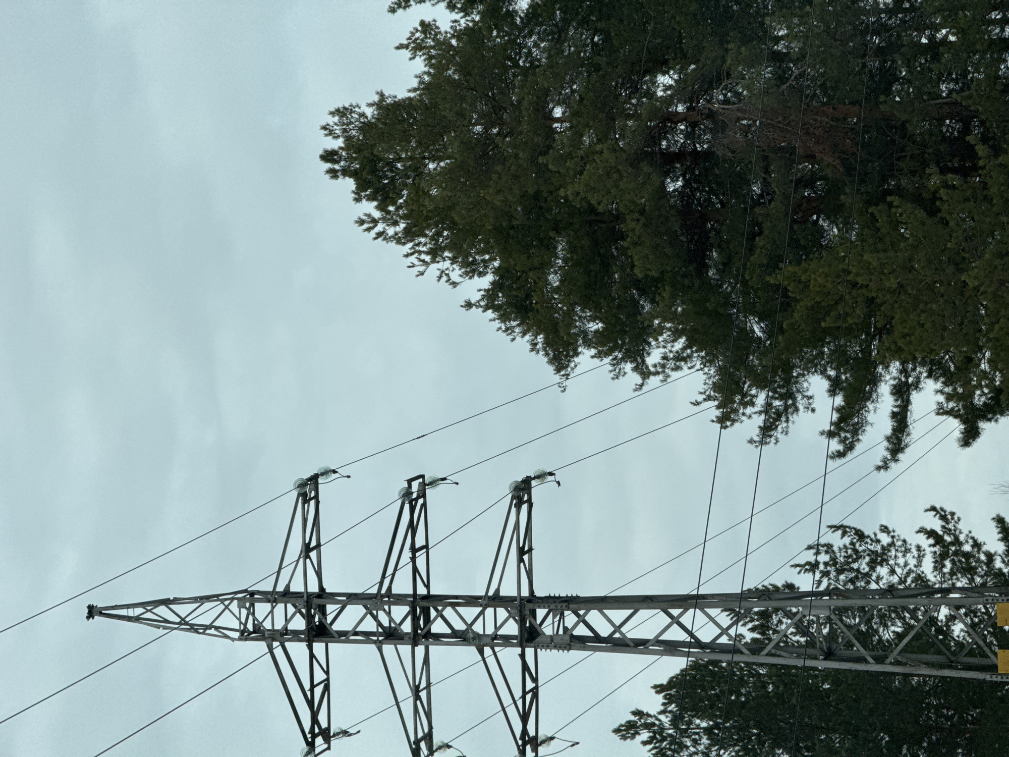 The image depicts a power line tower against an overcast sky. The tower is constructed of metal lattice and supports multiple high-voltage lines. Some tree branches are present, suggesting the scene is near a wooded area. The image was taken from an upward angle. The location is specified as Noviy, Russia.