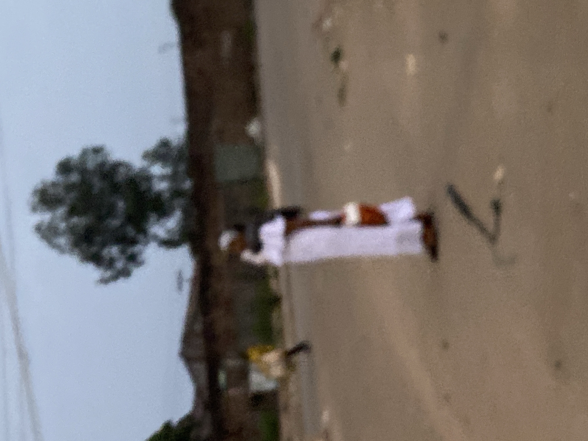 On an outdoor paved surface in Bukuru, Nigeria, a person wearing white clothing is lying down. A tree is visible to the left of the person. Another person is to the left, closer to the tree. A dark object that may be a stick is visible to the right.
