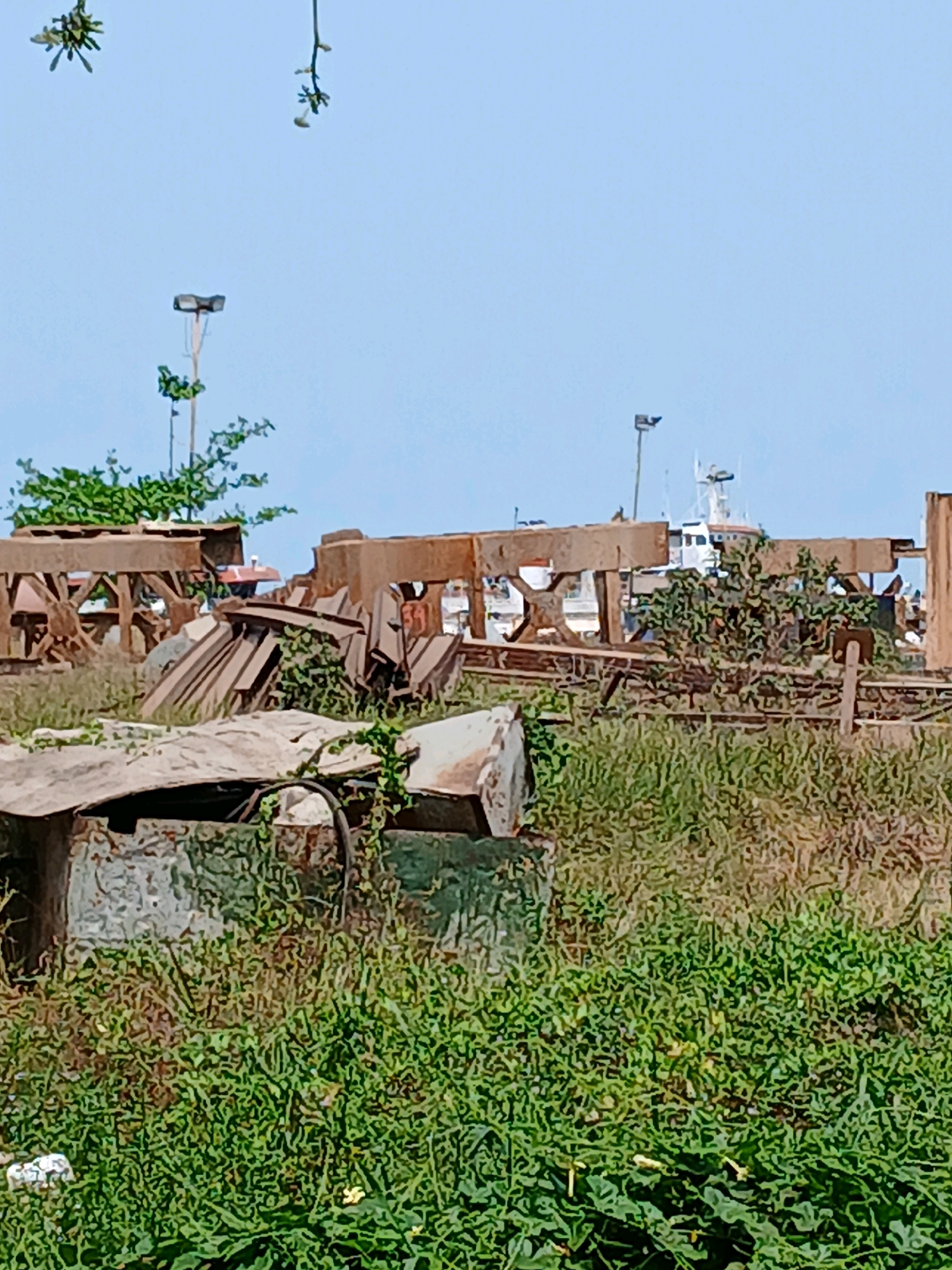 This image depicts an outdoor scene at a shipyard or junkyard, likely located near a body of water in Pangkalpinang, Indonesia. The foreground is filled with overgrown green grass, some of which is quite tall. In the center of the image, there is a dilapidated structure made of corrugated metal and concrete, with a metal pipe visible. Behind this, the landscape transitions to piles of rusty metal, seemingly scrap or old construction materials, including large wooden beams and steel frames. Some of these metal structures are leaning precariously. In the background, a bright blue sky with very few clouds dominates the upper portion of the image. A light post with a lamp is visible in the middle ground, and beyond that, part of a white ship with several decks and masts can be seen, suggesting a proximity to a harbor or port. The overall impression is one of disuse and decay, characteristic of a storage or processing area for industrial waste or equipment.