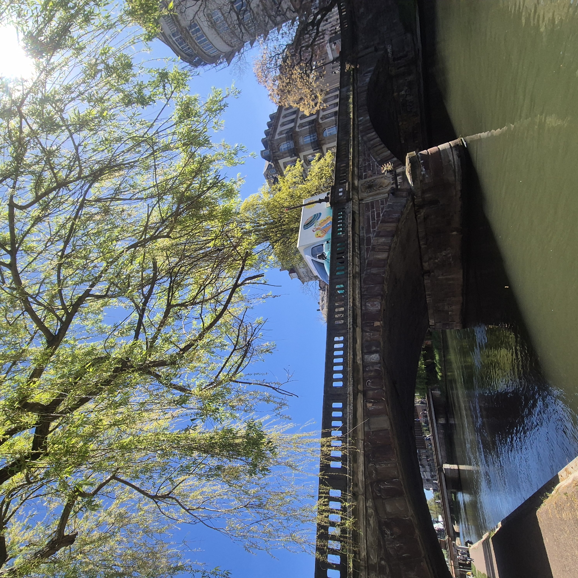 This image shows a view of the Ill River in Strasbourg, France. The image is taken from below the Pont Saint-Thomas, an old stone bridge with a walkway. A large weeping willow tree is partially in the frame on the left, its branches reaching towards the blue sky. A food truck or ice cream truck is parked on the bridge above. Old buildings line the riverbank. A lower pedestrian bridge runs parallel to the Pont Saint-Thomas further in the distance. People are visible walking and sitting along the riverbank. The Ill River reflects the sky and surrounding architecture. The water appears green due to the vegetation and depth.