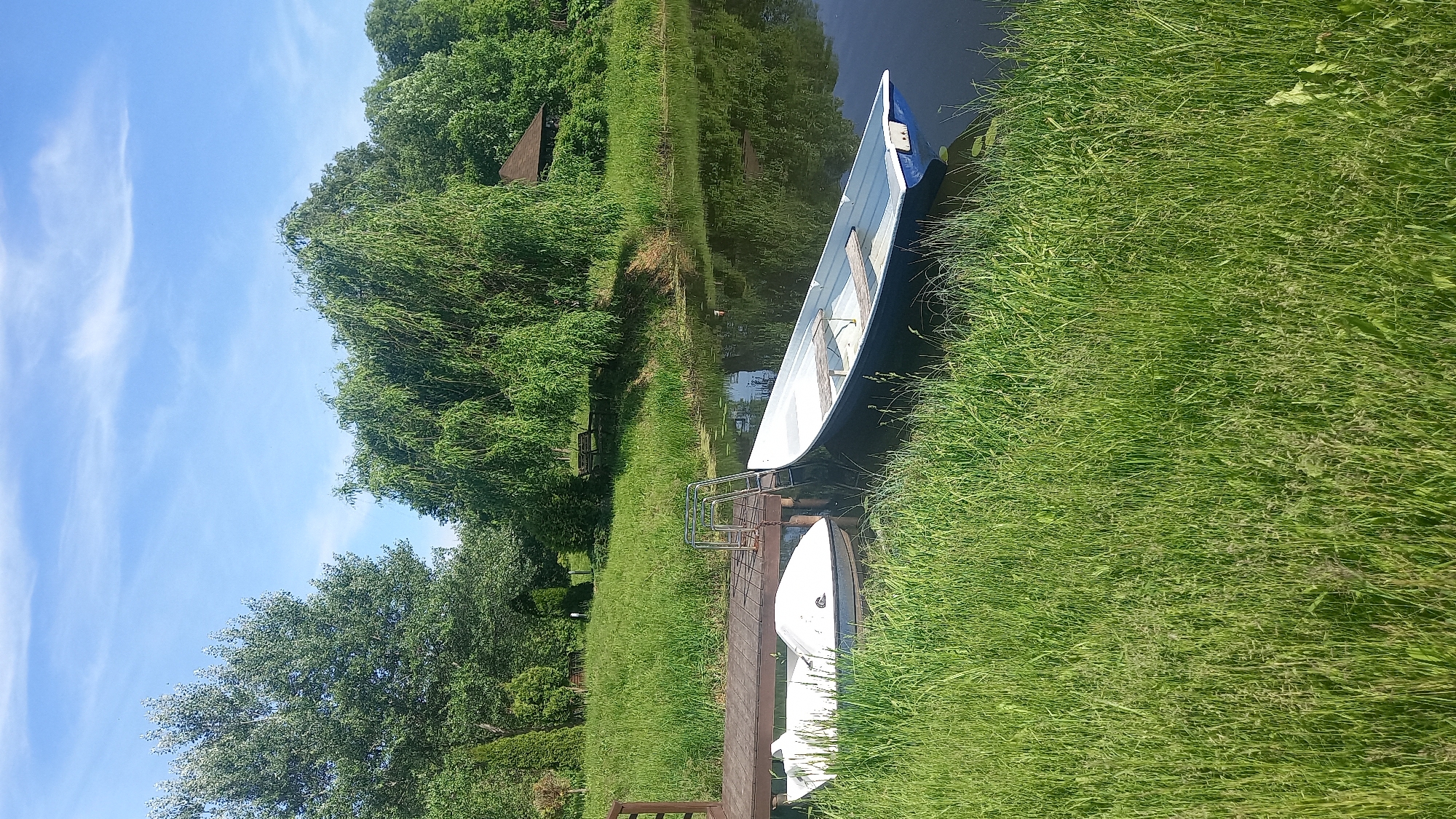 This image depicts a tranquil outdoor scene in Онуфриево, Russia, characterized by a calm body of water, lush green vegetation, and recreational boats under a clear sky.
The upper portion of the frame features a bright blue sky with sparse, wispy white clouds. Below the sky, dense green foliage dominates the horizon. On the left, a large, broad-leafed tree stands prominently, while on the right, a weeping willow with its characteristic drooping branches is a central feature. Various other deciduous trees and shrubs form a verdant backdrop across the scene.
The foreground is covered with tall, unkempt green grass, suggesting a natural or minimally maintained area. A dark, calm body of water, likely a pond or small lake, occupies the middle ground, reflecting the sky and surrounding trees. Small patches of aquatic plants are visible on the water's surface.
A wooden dock, constructed from brown planks, extends from the left bank into the water. At the end of the dock, a shiny, metallic two-step ladder is installed, likely for water access. A metal chain is also visible, attached to the dock near the ladder.
Two boats are moored alongside the dock. The boat closer to the left bank is a small, white, enclosed recreational vessel, possibly a pedal boat, with a rounded hull and a small central opening. Adjacent to it, further from the bank, is a longer, open-top rowboat or dinghy. This boat has a blue hull and a white interior, featuring two wooden benches positioned across its width.
Across the water, on the far bank, more dense greenery is visible. A rustic wooden bench is nestled under the trees in the mid-background on the left side of the water. Towards the right side of the far bank, partially obscured by trees, a structure with a dark, peaked roof, possibly a gazebo or small building, is discernible. No individuals or animals are present in the scene. The scene is illuminated by natural sunlight, indicating clear weather.