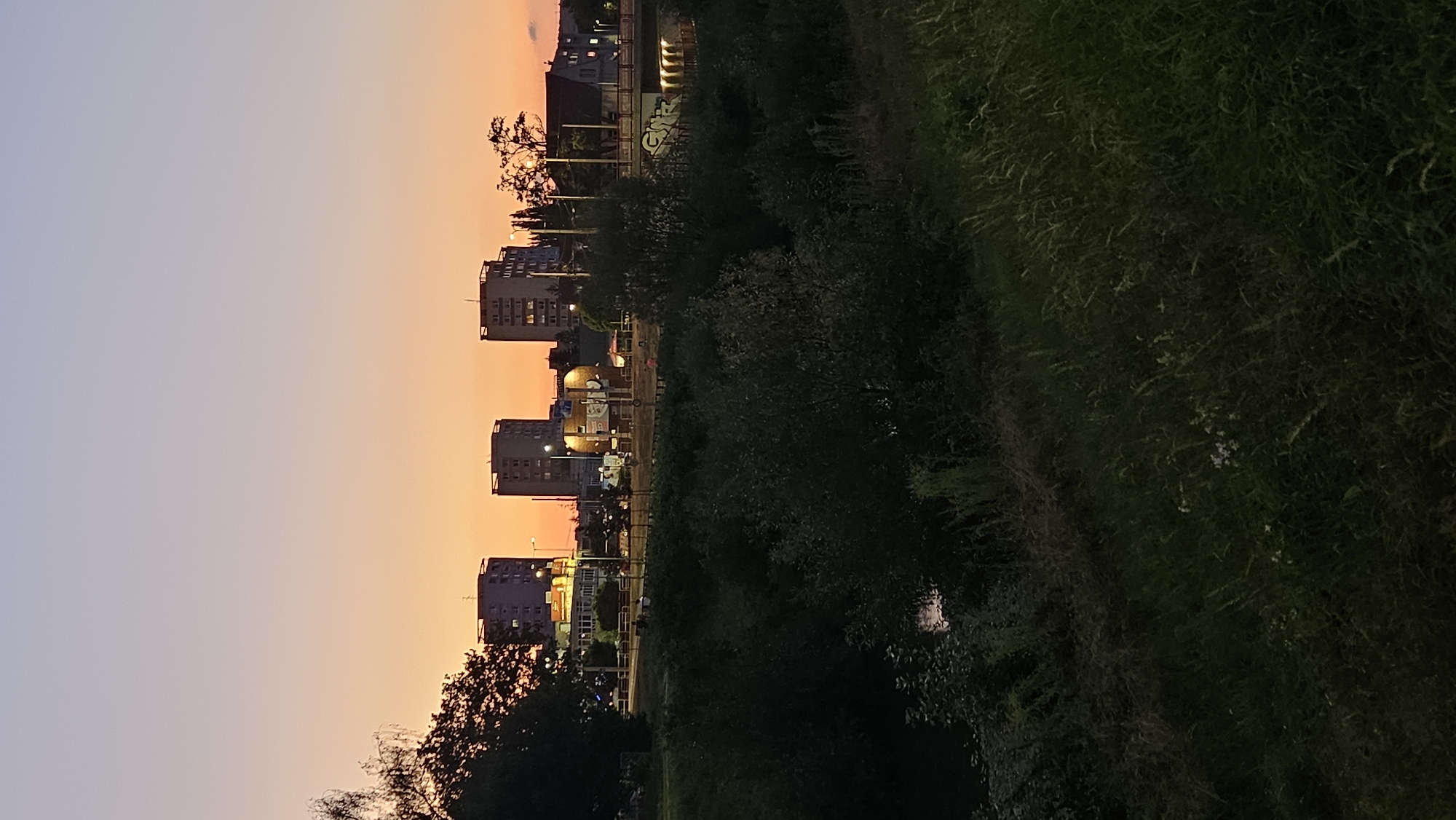A vertical, eye-level shot captures a city skyline at dusk. The sky transitions from a soft lavender at the top to a warm orange glow closer to the horizon, a typical sunset. In the mid-ground, several tall, rectangular apartment buildings with visible windows and rooftop antennas dominate the scene. These buildings are illuminated from within, suggesting an evening or nighttime setting. In front of the apartment buildings, a lower-lying building with a lit facade is visible, appearing to be a commercial establishment. A street with streetlights and passing vehicles is present, indicating urban activity. The foreground is occupied by a dense collection of dark green foliage, consisting of bushes and tall grasses, with a faint glimpse of water, likely a river or stream, to the left. The overall impression is that of an urban environment at the edge of a natural, vegetated area, likely within the city of Prešov, Slovakia, given the architectural style of the buildings. No specific individuals or actions are clearly discernible, but the presence of lights and a street suggest a populated area.