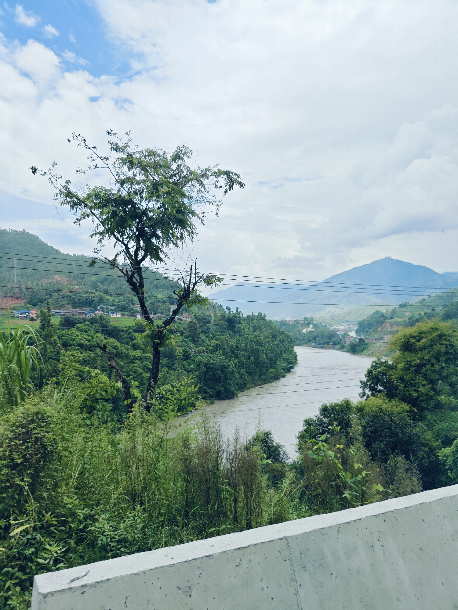 The image captures a scenic view of a river flowing through a verdant valley in Galchhi, Nepal. In the foreground, a concrete barrier runs horizontally, suggesting a roadside or viewing platform. Beyond the barrier, lush green vegetation, including tall grasses and trees, dominates the landscape. A solitary, moderately sized tree with sparse foliage stands prominently in the mid-ground, its branches reaching towards the sky.
The river itself, a murky grey, curves through the valley, flanked by densely forested hillsides on either side. In the distance, the hills are layered with varying shades of green, indicating extensive tree cover. A small settlement with scattered houses is visible on the slopes of the hills, nestled amongst the trees. Power lines stretch across the scene, a human intrusion into the natural landscape. The sky above is a mixture of white clouds and patches of blue, indicating a partly cloudy day. The overall impression is one of natural beauty with signs of human habitation integrated into the environment.