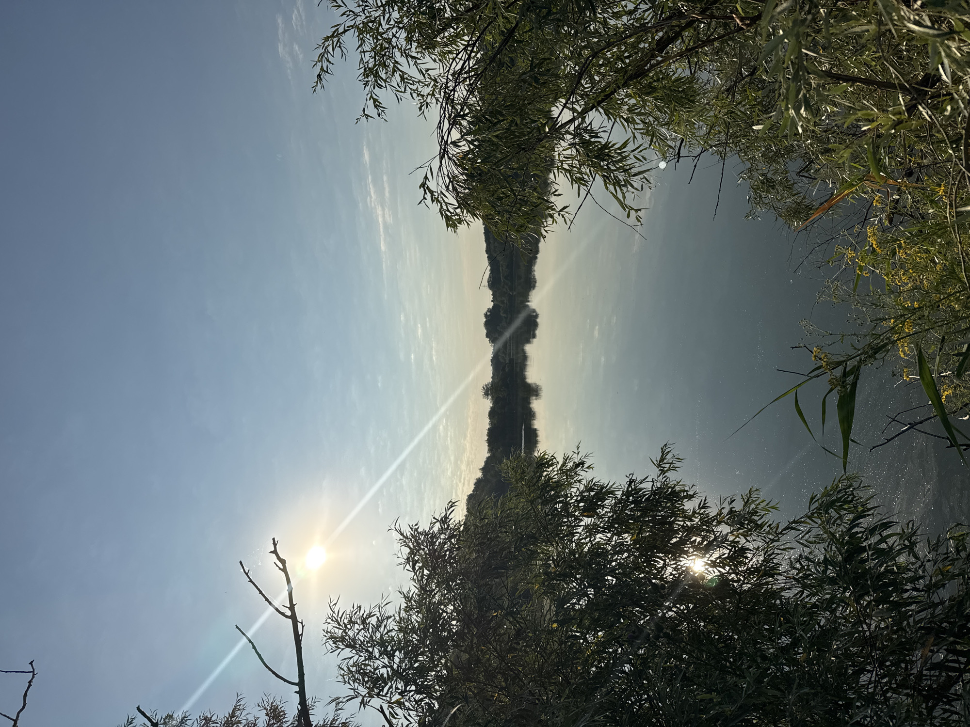 This is a vertical, eye-level, wide shot of a tranquil lake in the city of Kamyshevakha, Russia, on a clear day with the sun shining brightly through scattered clouds. The foreground is dominated by lush green foliage, with willow-like trees framing the left and right sides of the image. A bare tree branch extends from the upper left, silhouetted against the sky. The sun, low in the sky and slightly to the left, casts a bright glare and prominent light rays across the scene, illuminating the water. The lake's surface is still and reflects the sky and the tree line on the opposite bank, creating a mirror-like effect. The opposite bank is lined with a dense, dark green forest. The overall mood is peaceful and serene, capturing a moment of natural beauty.