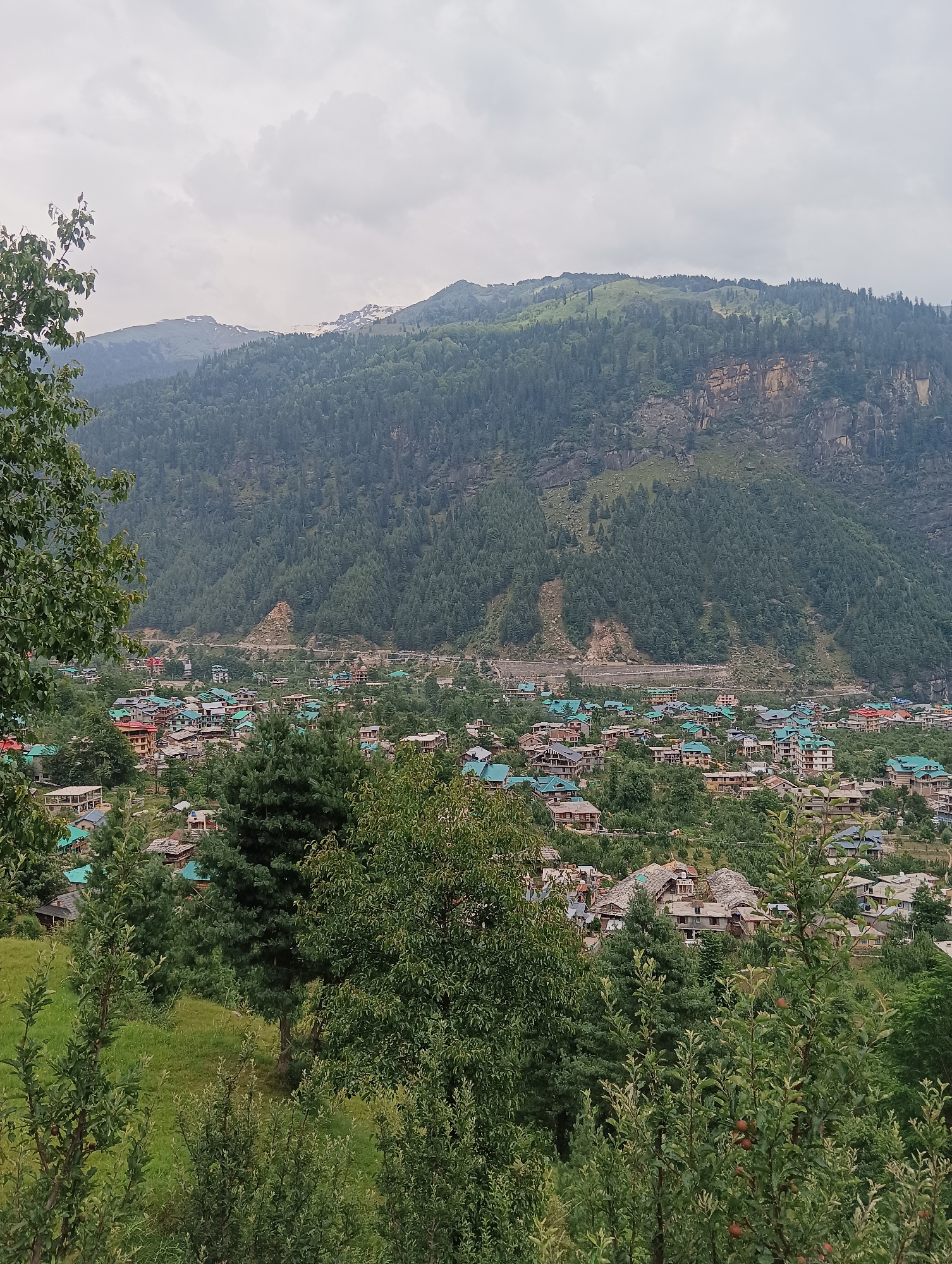 This is a photograph of the town of Majhach, India, as seen from a higher vantage point. The image captures a valley filled with numerous houses, many of which have distinctive teal-colored roofs. The town is nestled at the base of a mountain range covered in lush green pine trees. The mountain slopes are steep and rocky in some areas, with patches of snow visible on the highest peaks. The sky is overcast with light gray clouds. In the foreground, there are trees and foliage, with some of the trees bearing red fruit, possibly apples. The overall scene depicts a rural mountain town with a dense concentration of buildings.