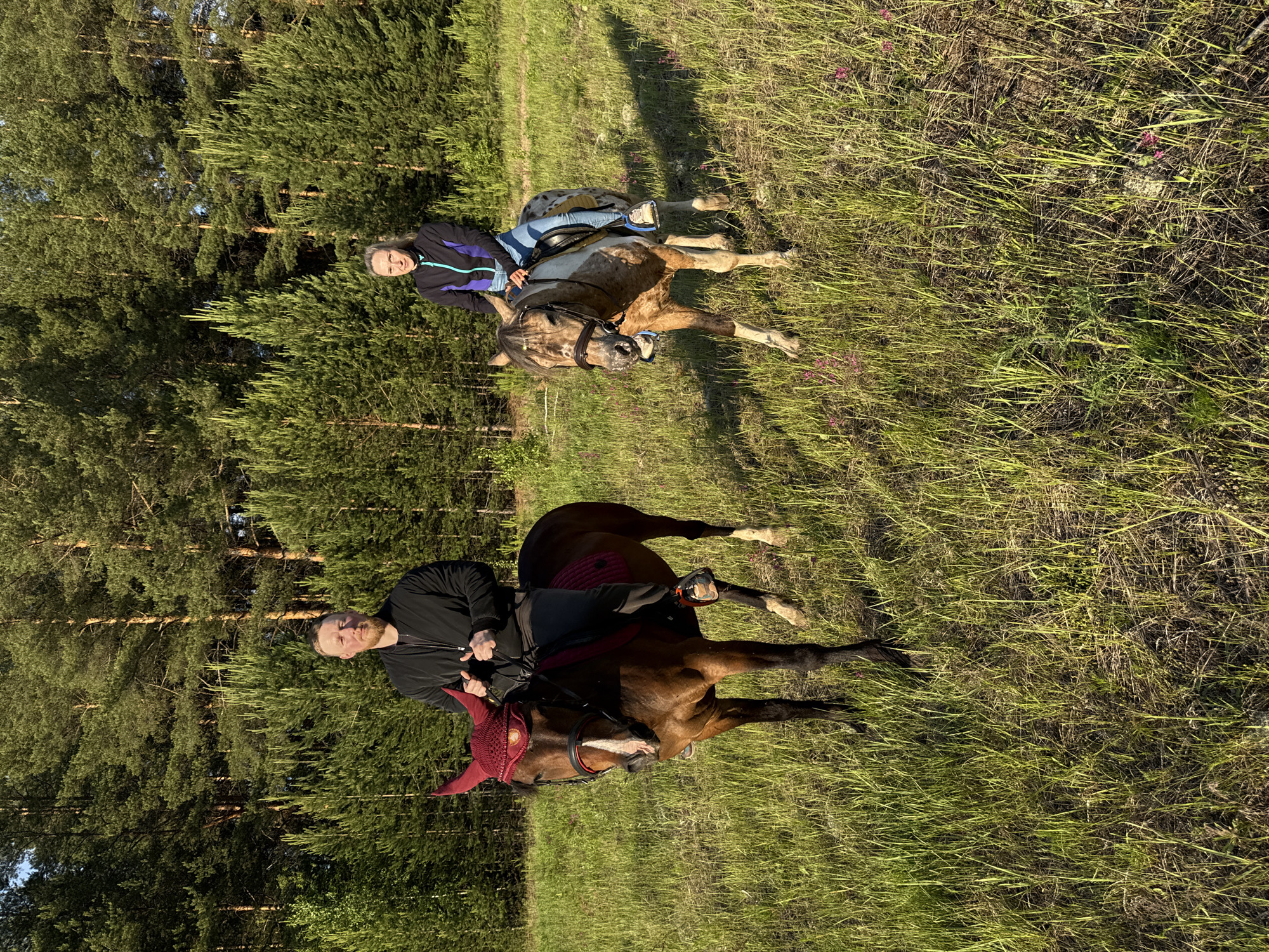 A man and a woman are horseback riding in a grassy field with a dense pine forest in the background. The man is on a brown horse wearing a red bonnet with decorative horns, and he is wearing a black jacket and grey pants. The woman is on a lighter colored, spotted horse, wearing a blue and black jacket and blue jeans. Both riders are looking towards the camera. The sun is casting long shadows, indicating it is late afternoon or early evening. The environment appears to be a natural, undeveloped area, likely on the outskirts of the city of Chaikovsky, Russia, given the prevalence of pine forests in the region.