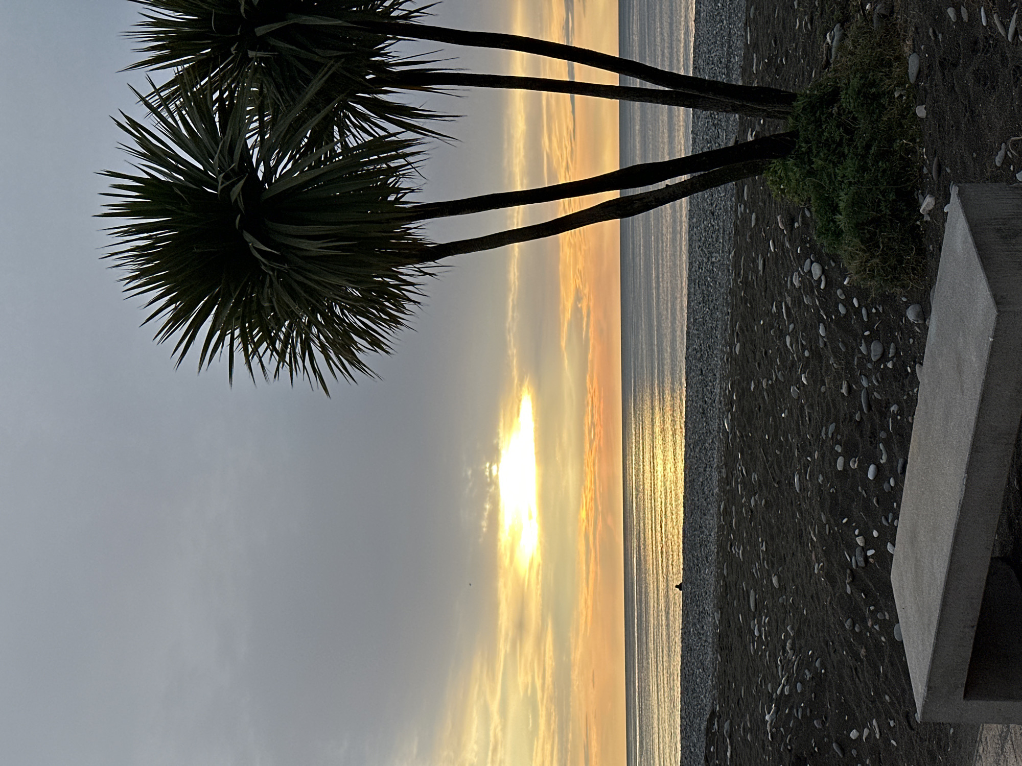 The image depicts a coastal scene at sunset, likely taken in Batumi, Georgia. The focus is on a beach with dark sand and pebbles, adjacent to the Black Sea. A small palm tree with two prominent crowns stands on the beach. The sun sets over the water, casting a golden reflection. A concrete bench is positioned to the right of the frame. There is a silhouette of a figure in the distance. The sky is a blend of gray and golden hues.
