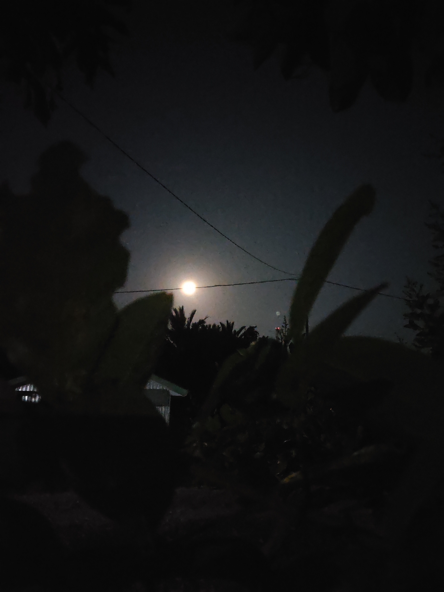 This image captures a nighttime scene with a bright full moon illuminating a dark sky. In the foreground, out-of-focus silhouettes of large leaves and branches frame the view. In the middle ground, a thin electrical wire stretches horizontally across the frame. Below the wire, the full moon is visible as a bright, circular orb, positioned slightly to the left of the center. Behind the moon, silhouetted palm trees are discernible against the sky. Further in the background, a portion of a building with corrugated roofing and a light source within it is visible on the left side. The overall impression is one of a tranquil, moonlit night, possibly in a residential or semi-rural area within Jakarta Baru, Indonesia, given the presence of palm trees and a building.