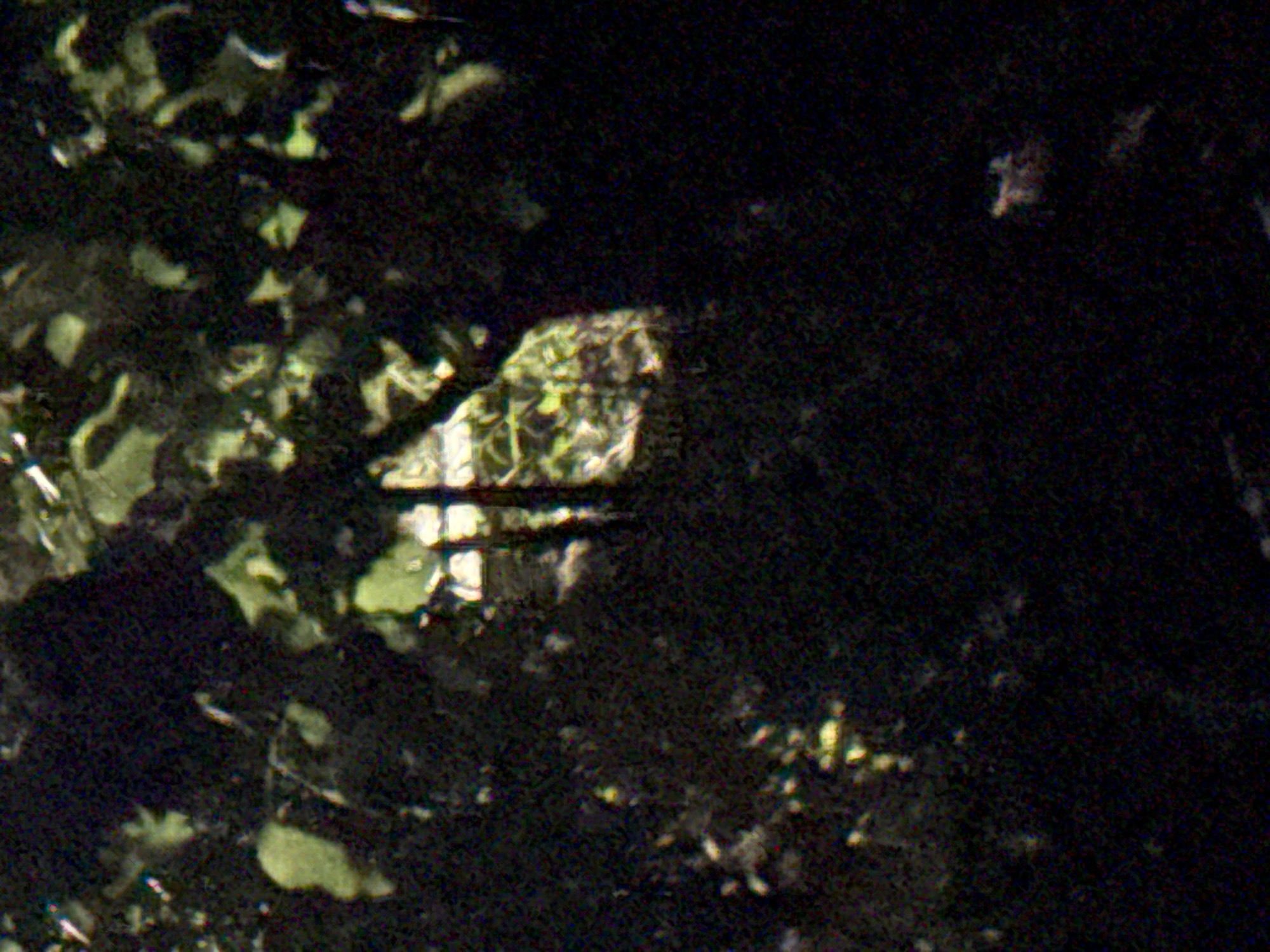 The image captures a dimly lit, dark scene with foliage and shadows dominating the frame. In the center, a faint, abstract representation of a structure is visible, appearing as a vertical line with a horizontal bar, reminiscent of a cross or a simple gate. The background suggests an outdoor environment, possibly a forest or a garden, with dappled light filtering through leaves. No people or discernible objects are clearly identifiable. The scene is located in the city of Vostok, Kyrgyzstan.
