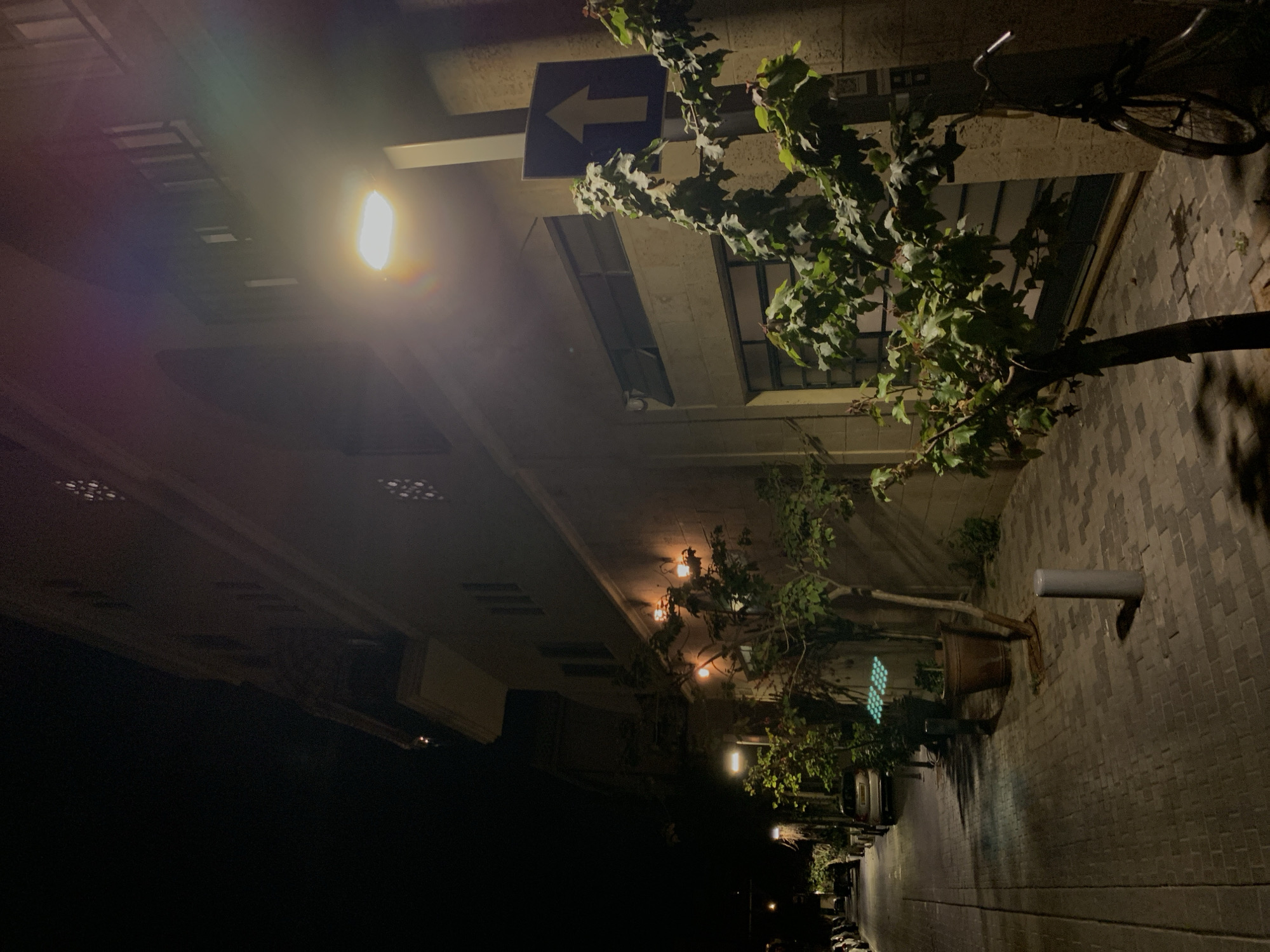 This media file captures a night-time street scene in an urban environment, likely in Tel-Aviv, Israel. The image is oriented vertically (rotated 90 degrees clockwise), showing a street or sidewalk extending into the distance on the right, and buildings on the left.
The scene is illuminated by artificial lights, creating a warm glow. A prominent bright, warm-toned streetlight is affixed to the building on the left, casting significant light and producing a noticeable lens flare. Further down the street on the left, several decorative hanging lights are visible on the building's facade, along with windows. The building itself appears to have a light-colored, possibly stone or concrete, exterior.
Along the street, several trees with green foliage are present; one tree is planted in a large, terracotta-colored pot on the right side of the sidewalk. The sidewalk is paved with grey interlocking bricks. A grey cylindrical bollard stands on the right side.
High above the main streetlight, a blue rectangular sign with a white arrow pointing to the left is mounted. A bicycle is leaning against a wall or building on the right, partially obscured by a tree. In the background, several parked cars line the street, and a green traffic light is visible in the distance. The street appears empty, with no people or active events taking place. The overall mood is quiet and atmospheric, lit by the urban night.