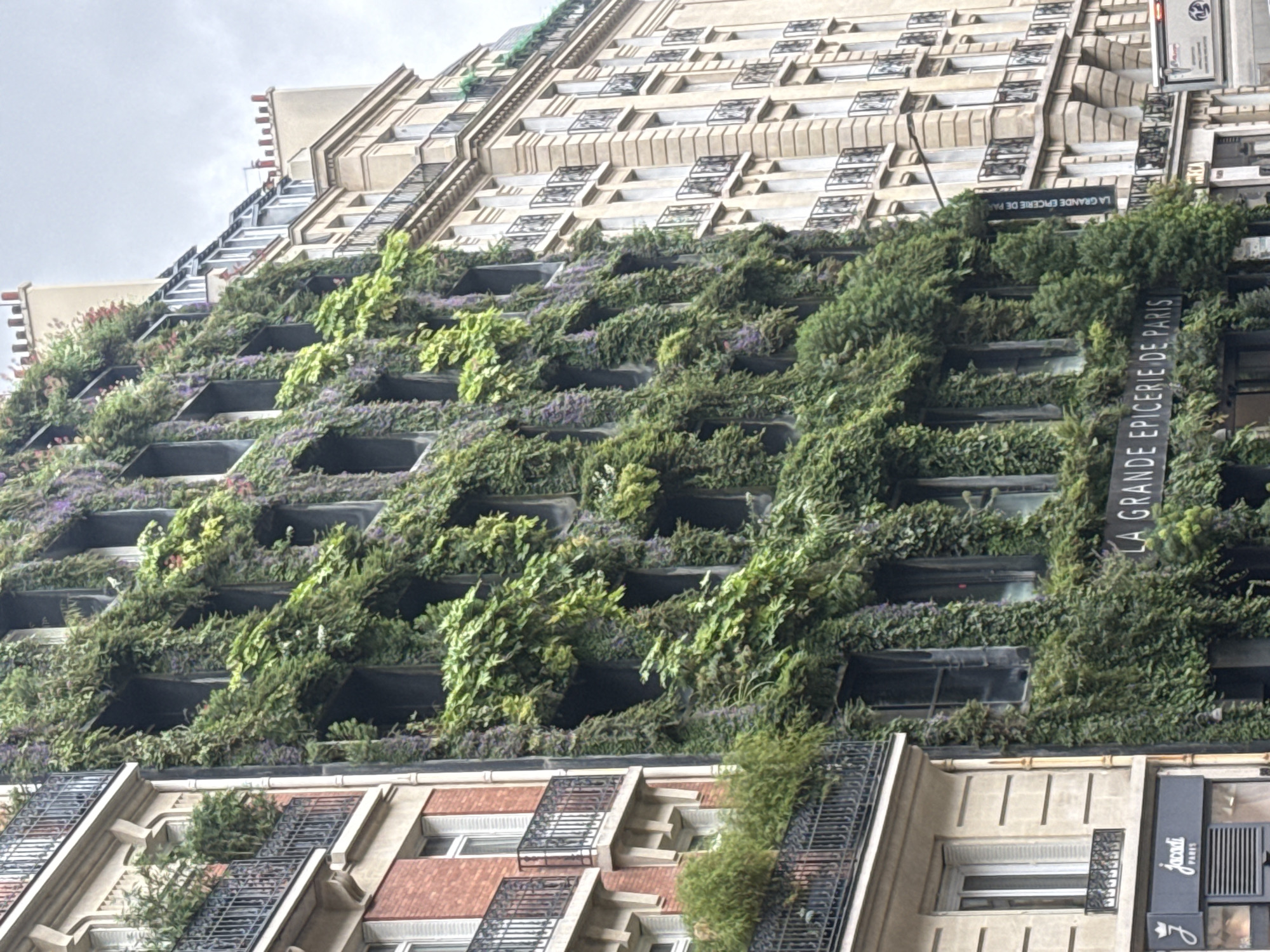 The image shows a vertical garden on the facade of a building in Paris, France. The building's tiers are densely covered with greenery and purple flowers. A sign on the right side reads "LA GRANDE EPICERIE DE PARIS". Below the garden section is a building facade with windows and iron balcony railings. Another sign is visible, reading "Jacadi Paris". The sky is overcast.