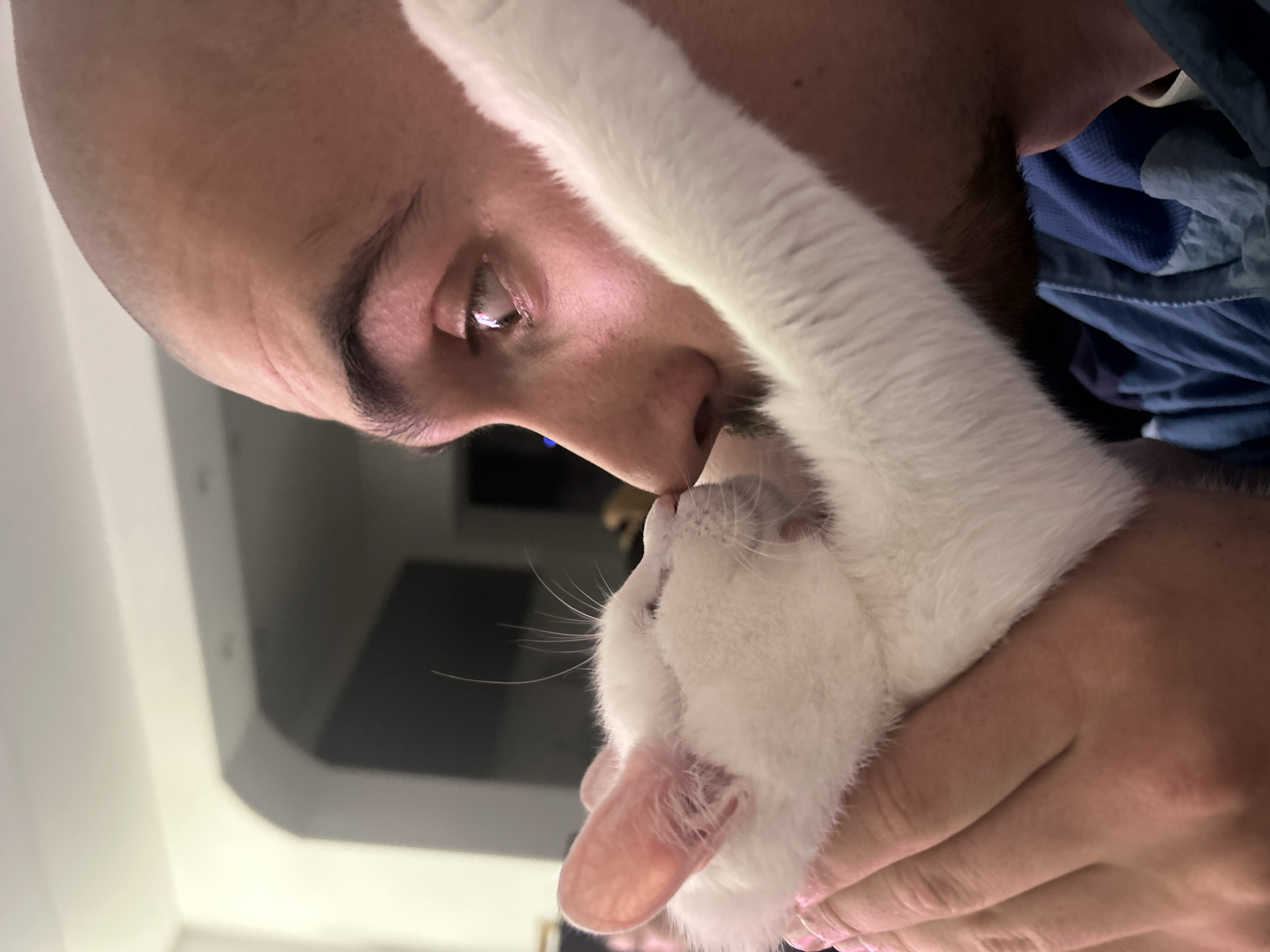 A close-up shot depicts a person's face interacting closely with a white cat. The person appears to be holding the cat with their hand visible at the bottom right of the frame. The cat's face and one extended paw are prominent in the image. A portion of the person's upper body and a blue garment are visible in the background. There is no evidence to suggest the location is Burgas, Bulgaria.