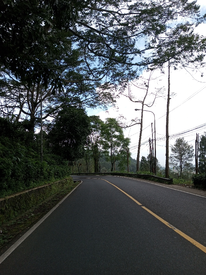 The image displays an empty, two-lane asphalt road curving to the right through a natural environment in Boommlog, Bhutan. A solid yellow line marks the center of the road, with a white edge line visible on the left. To the left of the road, a low concrete curb, partially covered with moss and sparse vegetation, borders a steep embankment densely covered in dark green foliage and several large trees. The upper left quadrant is dominated by the canopy and branches of a mature tree. To the right of the road, a dark metal guardrail follows the curve. Beyond the guardrail, several tall, slender trees, some appearing bare or with minimal foliage, stand alongside multiple utility poles that support overhead wires. One utility pole features a streetlamp with a distinctively curved arm. The background exhibits a hazy, distant landscape of lighter green trees and hills, suggesting a valley or mountainous terrain. The sky is visible above, featuring light blue patches and scattered white clouds. No individuals, vehicles, or animals are present, and no actions or interactions are depicted within the scene.