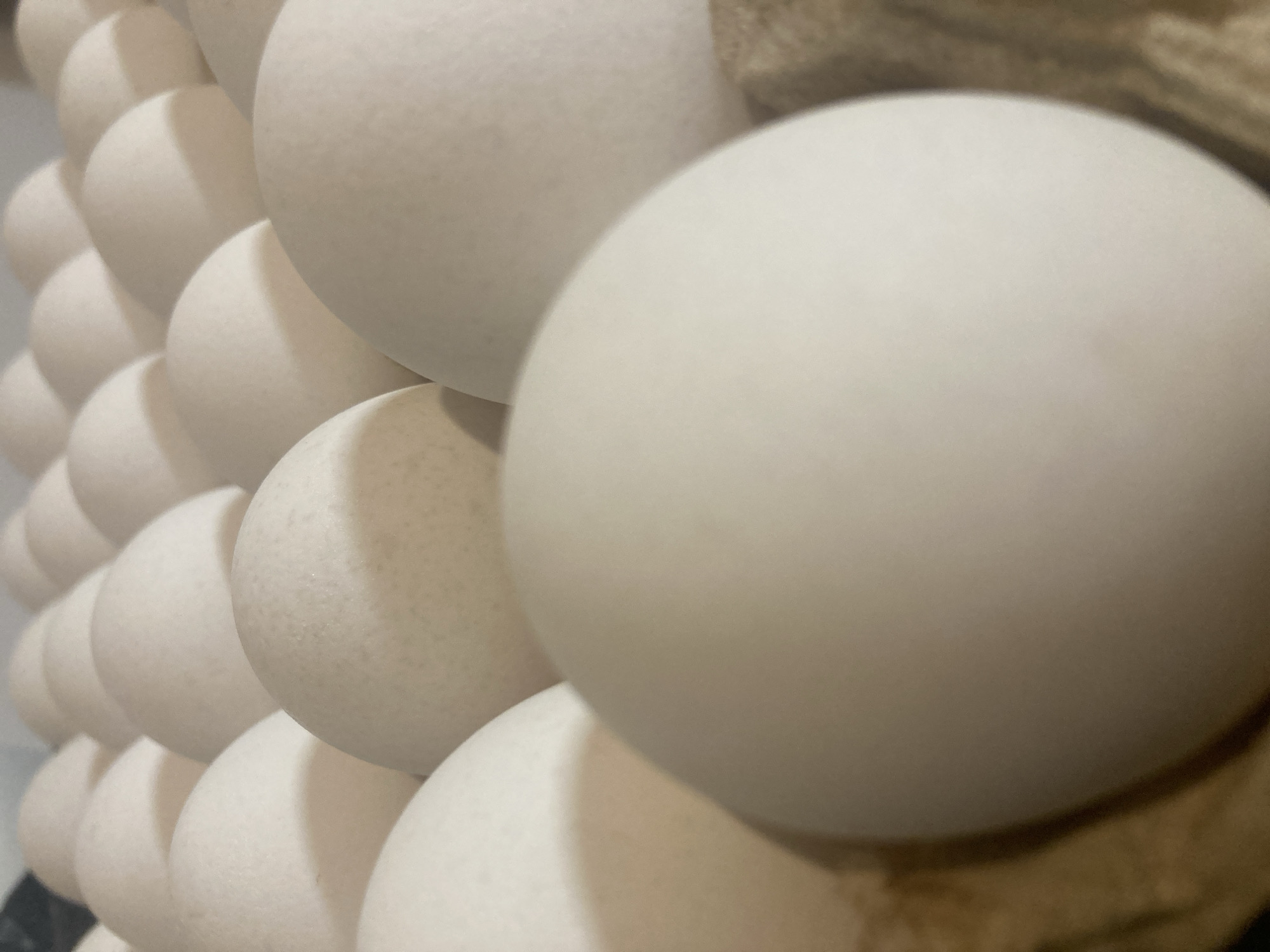 This is a close-up, low-angle, indoor photograph of a tray of white eggs. The eggs are arranged in rows and are mostly out of focus, with a few in the foreground sharp. The background is a blurred continuation of the egg tray. There are no people, actions, or interactions visible in the image. The environment appears to be a domestic or commercial setting where eggs are stored. The photograph does not contain any visual information that would allow for the determination of its location in Burgas, Bulgaria.