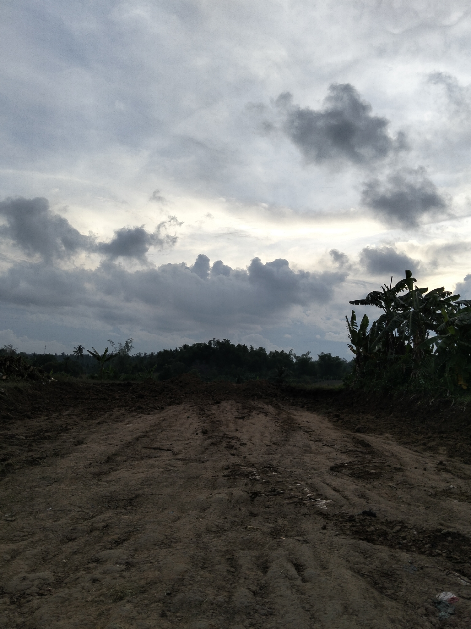 The image depicts a dirt road leading into a landscape under a cloudy sky. The road is rough and uneven, with tire tracks visible. To the right, banana trees are prominent, and in the background, a dense line of trees forms a dark horizon. The sky is filled with dramatic, dark gray clouds, with some lighter areas suggesting the presence of the sun, possibly setting. The scene appears to be an undeveloped or rural area, potentially a construction site or a pathway through agricultural land in or near Payagaboh, Indonesia. There are no people or animals visible in the image.