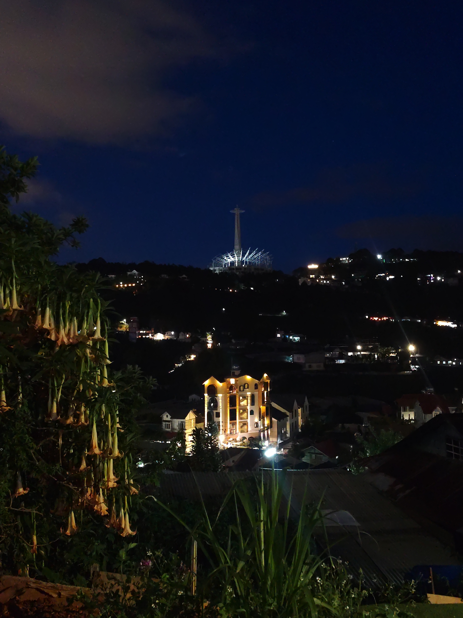 Nighttime view of Da Lat, Vietnam, with the illuminated statue of Christ the King on the mountain in the distance. A multistory building with arched windows is lit in the foreground. Various houses and structures with lights are scattered across the hillside. A tree with drooping flowers is in the left foreground, and tall green plants are at the bottom. The sky is dark blue with patches of clouds.