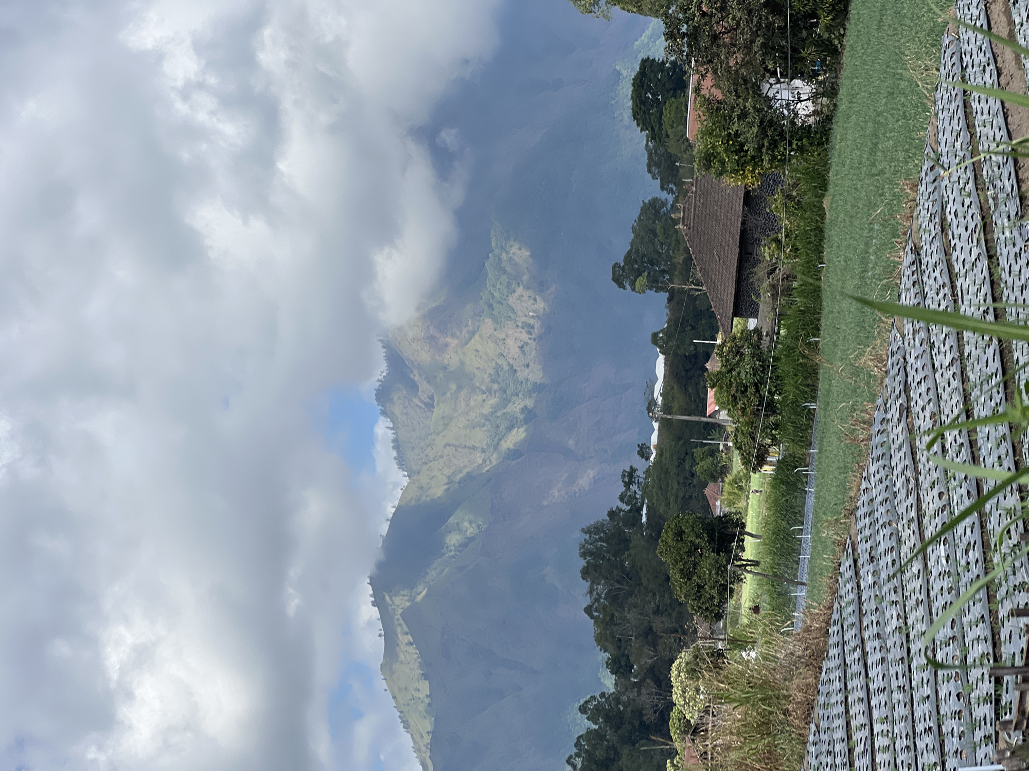 A cloudy, overcast day hovers over a lush, mountainous landscape in Kintamani, Indonesia. In the foreground, rows of dark, plastic sheeting cover planted ground, likely a farm. Beyond this, green fields stretch out, dotted with scattered trees and a few traditional houses with dark, tiled roofs. In the mid-ground, a cluster of dense trees separates the fields from the imposing, mist-shrouded mountains that dominate the background. The mountains are layered and steep, their peaks partially obscured by dramatic, grey clouds, with patches of green vegetation clinging to their slopes. The overall atmosphere is serene and natural, with a hint of agricultural activity.