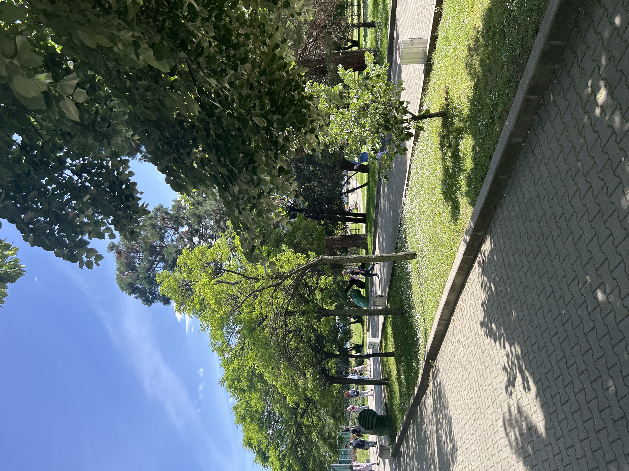 The image captures a scene along a paved path in an urban park. The path is made of grey interlocking pavers and has a concrete border. To the left of the path is a strip of green grass dotted with small white flowers. Along the grass, trees with green leaves cast shadows on the path and grass.
People are visible walking and standing on the path. Some are in groups, and they appear to be engaged in leisurely activities. On the left, the sky is blue with light clouds, visible through the tree branches. The overall environment suggests a sunny day in a well-maintained urban park.
The location is in an unknown city.