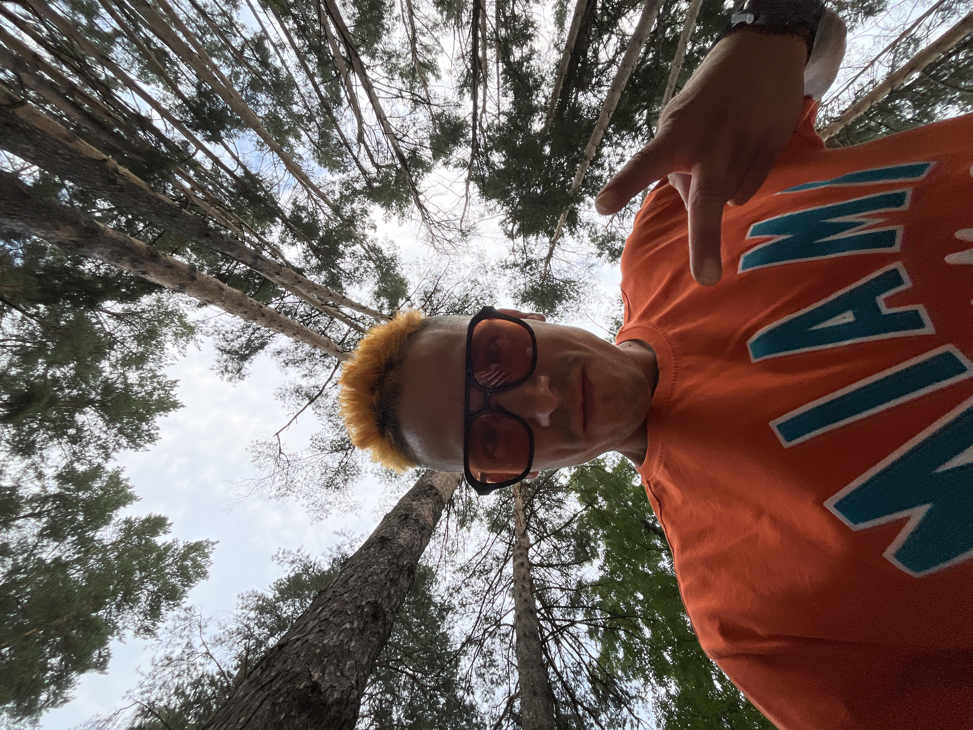 This is a low-angle, first-person perspective photo of a person standing amongst tall trees in a forest. The person has bright orange, spiky hair and is wearing an orange t-shirt with teal lettering that appears to spell out "MIAMI". They are also wearing large, orange-tinted sunglasses and a dark watch on their left wrist. The person is pointing with their right hand towards the camera, with their index and middle fingers extended in a "V" shape.
The background is dominated by the canopy of tall pine trees, with their branches and needles reaching towards a cloudy sky. The lighting suggests it is daytime, possibly overcast, as the light is diffused. The scene appears to be in a natural, wooded environment. Given the location context of Chaikovsky, Russia, this is likely a forest in that region. The overall mood is casual and playful, with the person's pose and bright attire standing out against the natural backdrop. The low angle and close-up shot emphasize the person and their gesture, while the surrounding trees provide a sense of scale and place.